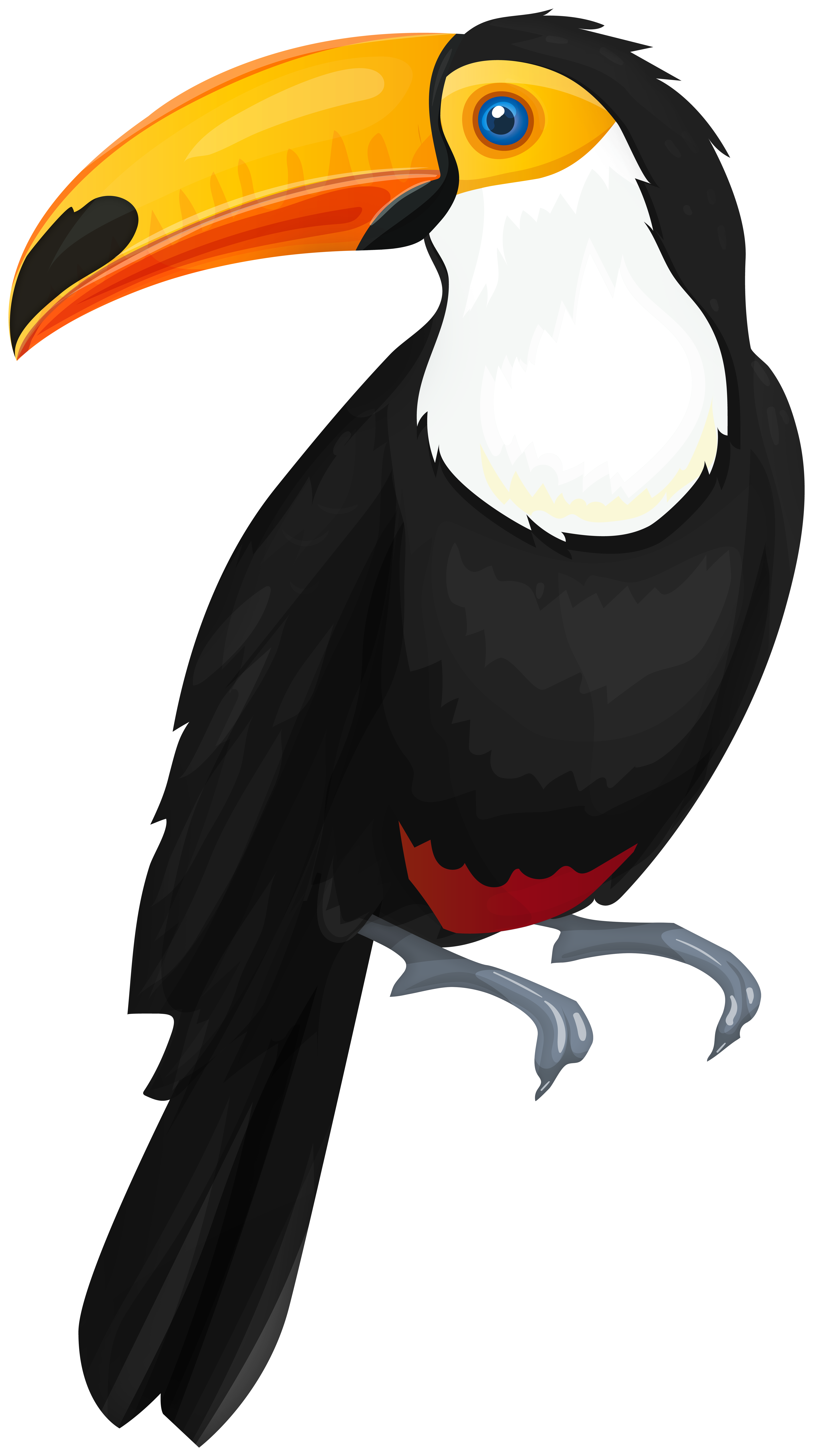 toucan png