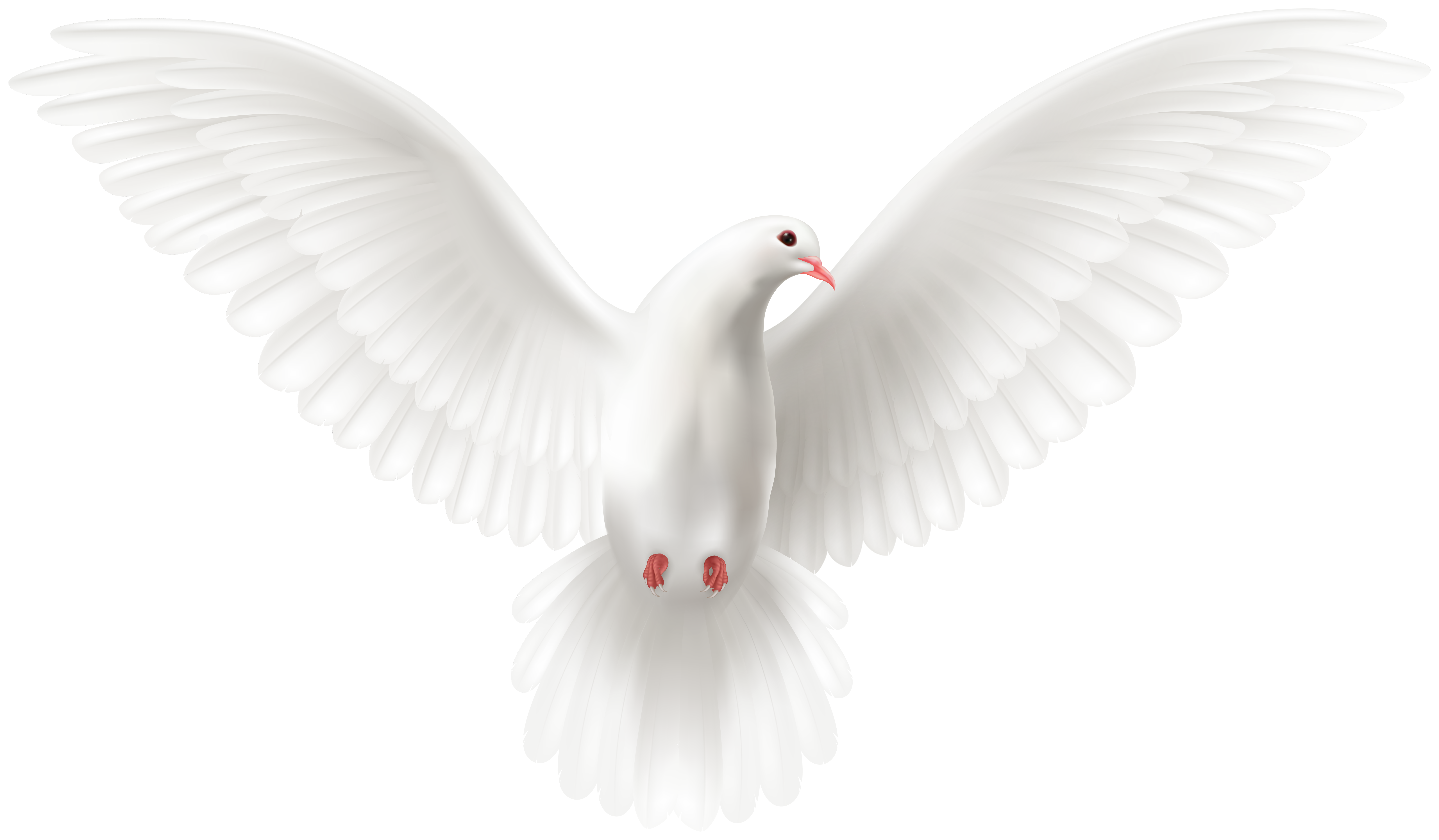 White Flying Dove PNG Clipart​ | Gallery Yopriceville - High-Quality Free  Images and Transparent PNG Clipart