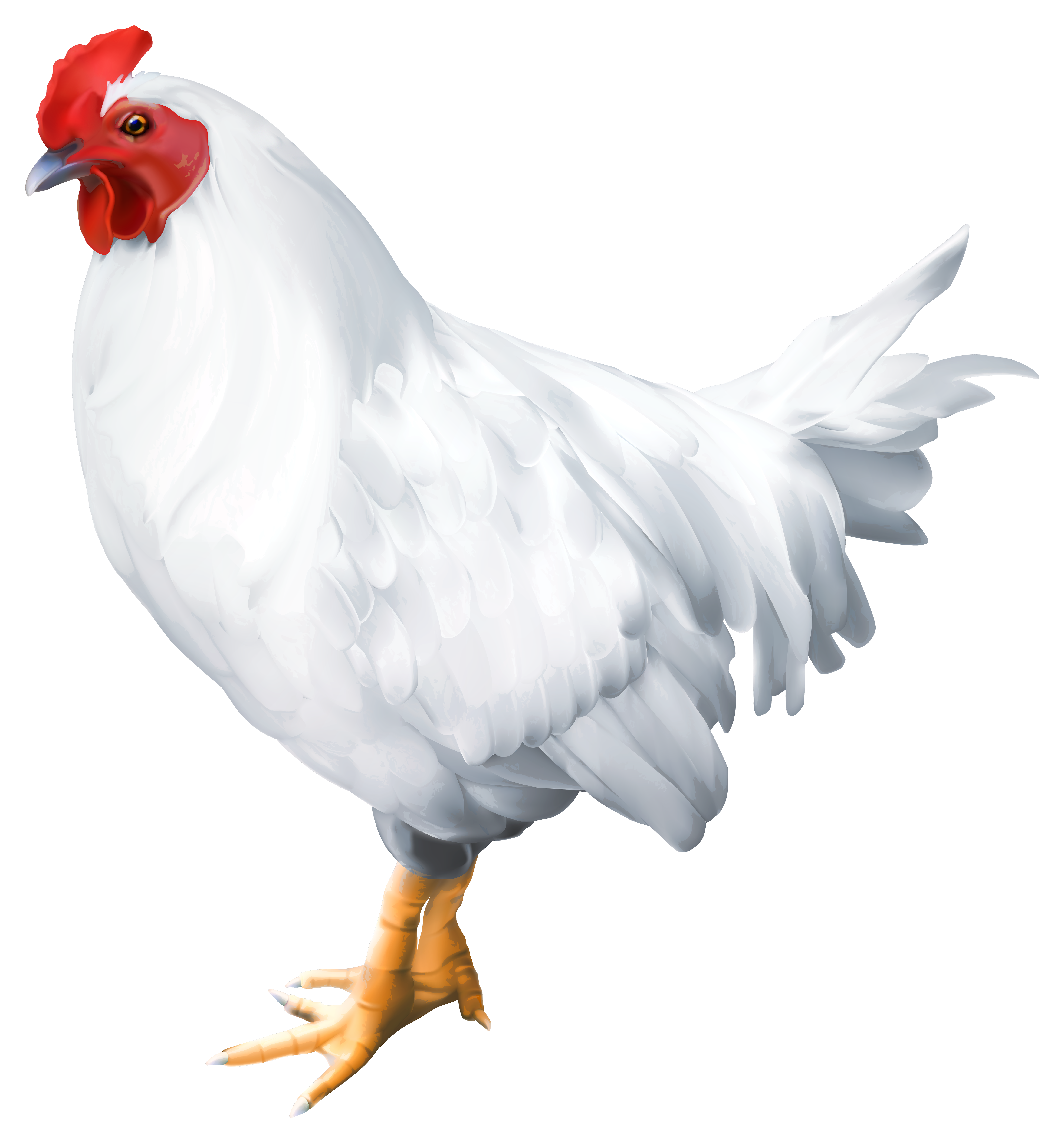 white rooster png clip art image gallery yopriceville high