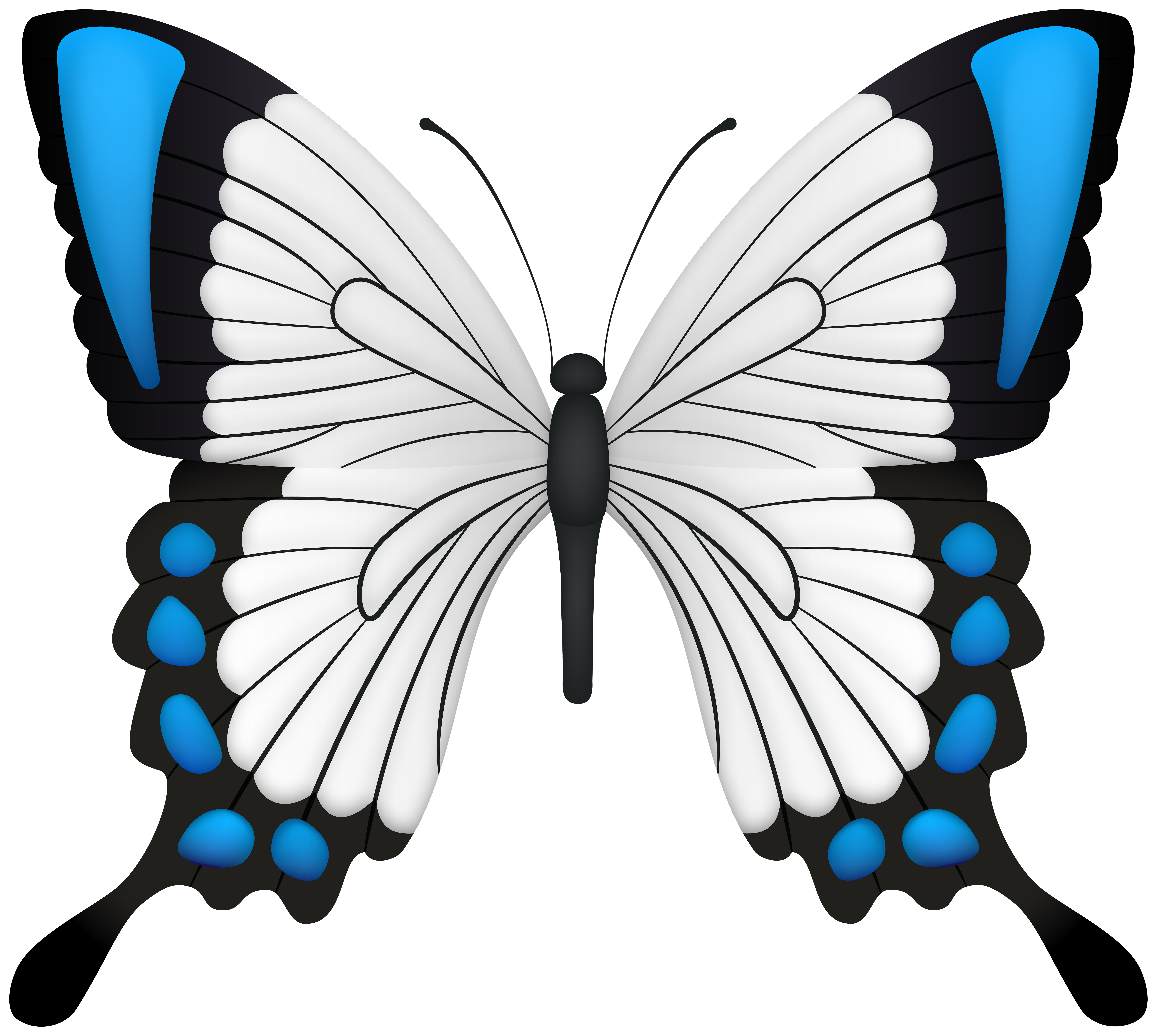 Blue Butterfly Drawing · Creative Fabrica