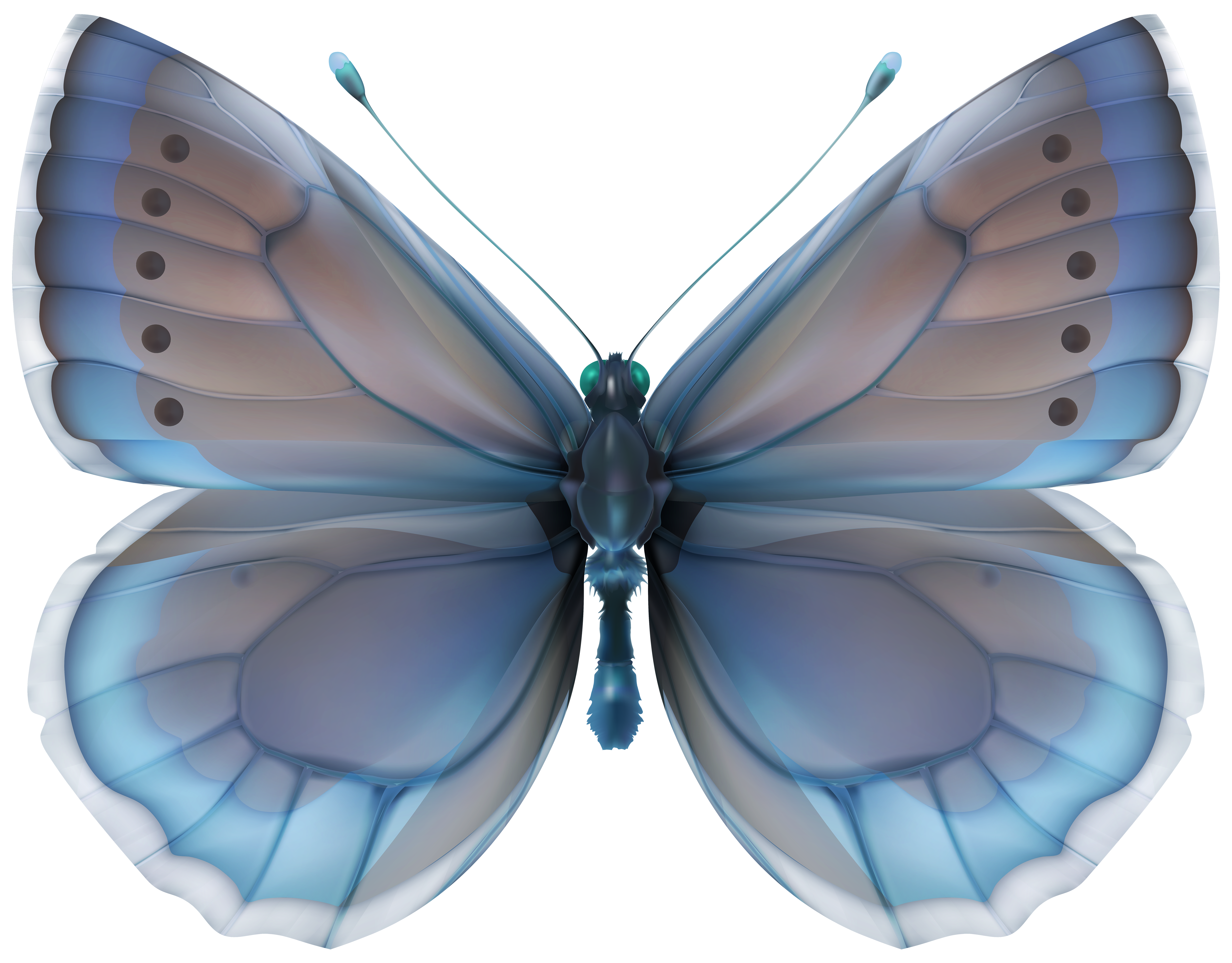 Blue Butterfly PNG Clip Art Image | Gallery Yopriceville - High-Quality