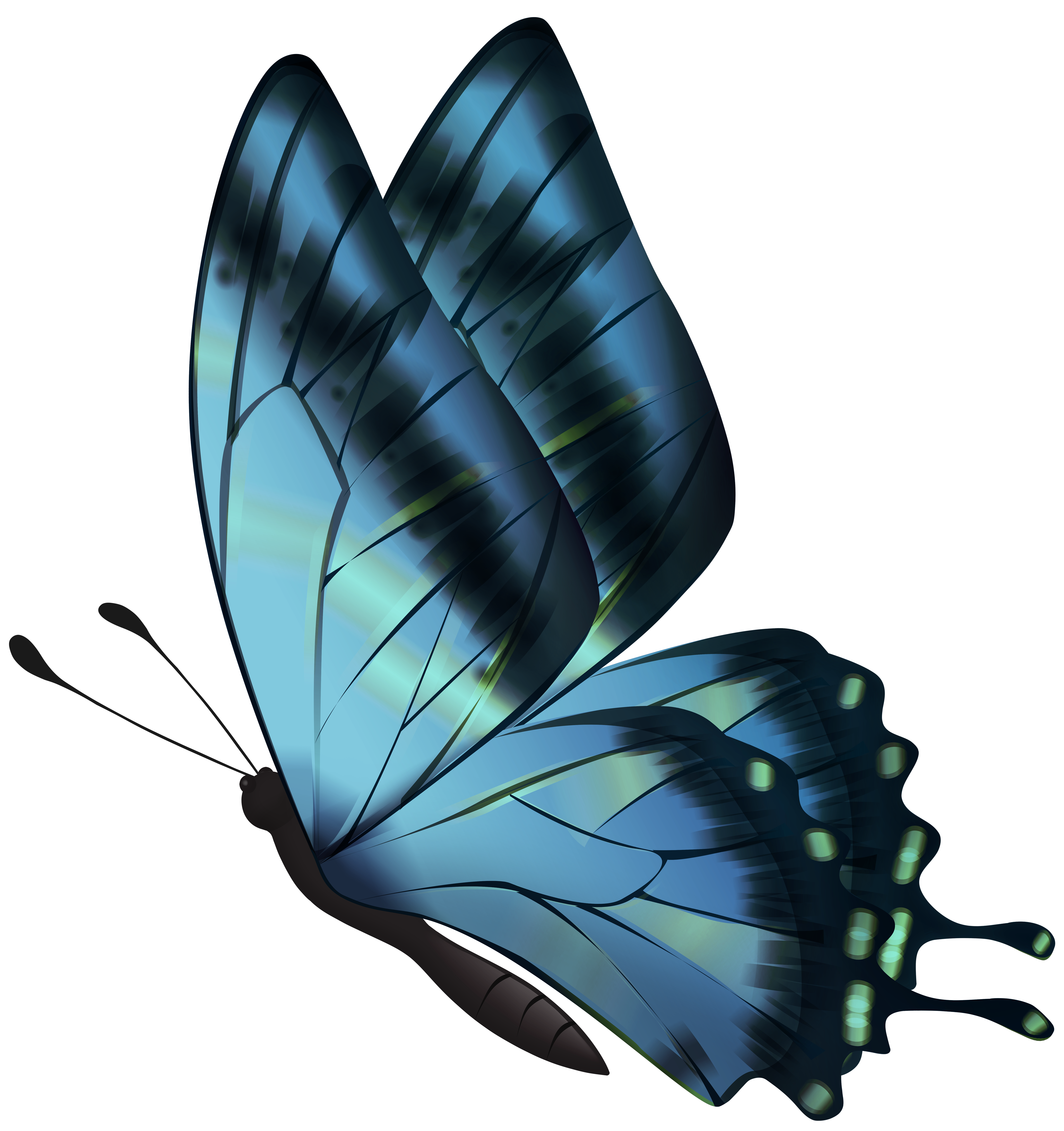 Blue Flying Butterfly PNG Clipart​  Gallery Yopriceville - High-Quality  Free Images and Transparent PNG Clipart