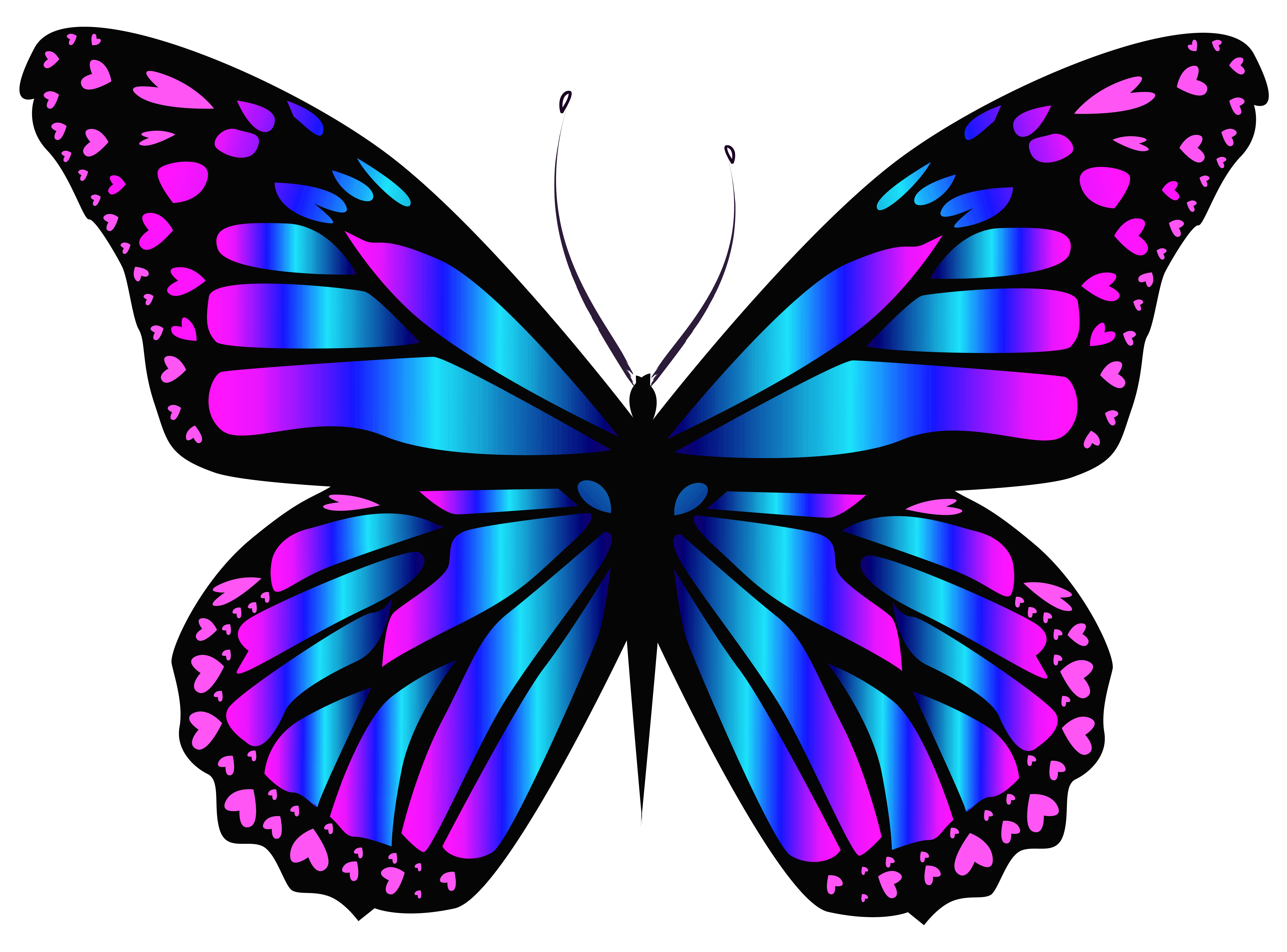 Flower number with butterfly in realistic style png download