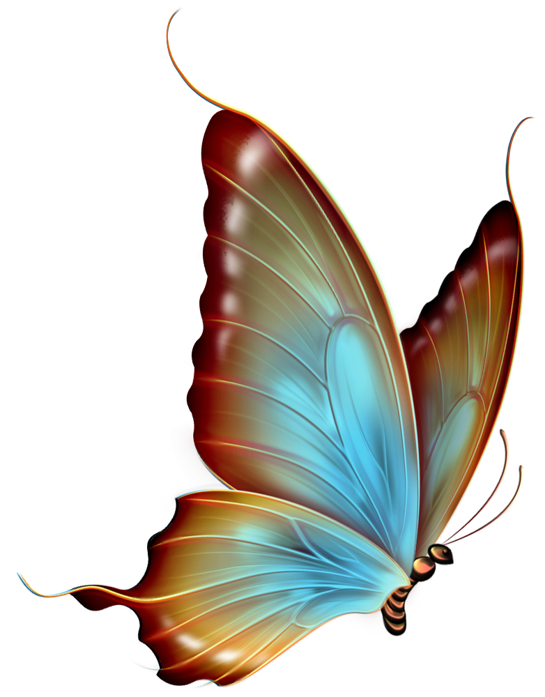 free clipart butterfly images