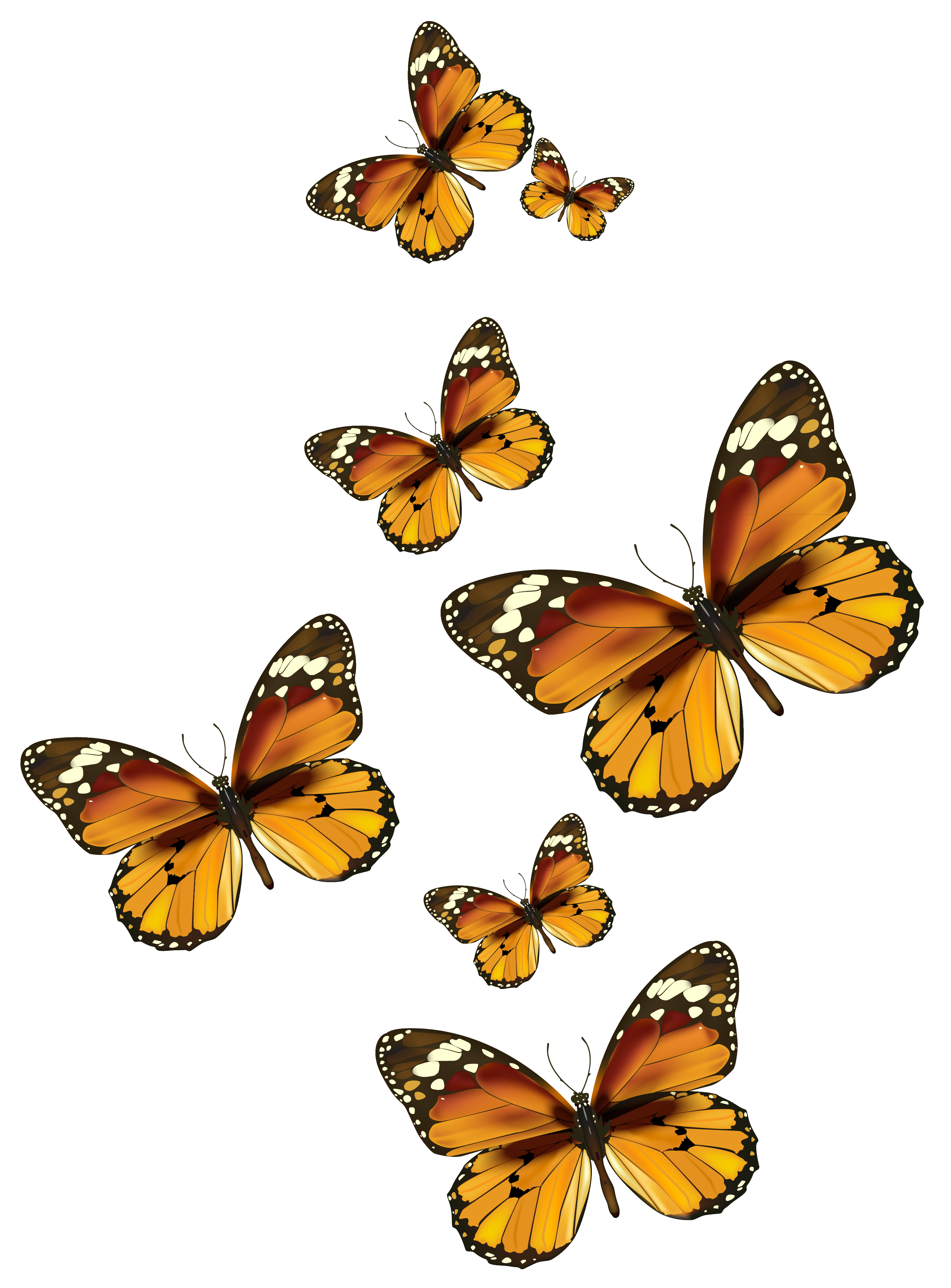 Butterflies Vector PNG Clipart Picture | Gallery ...