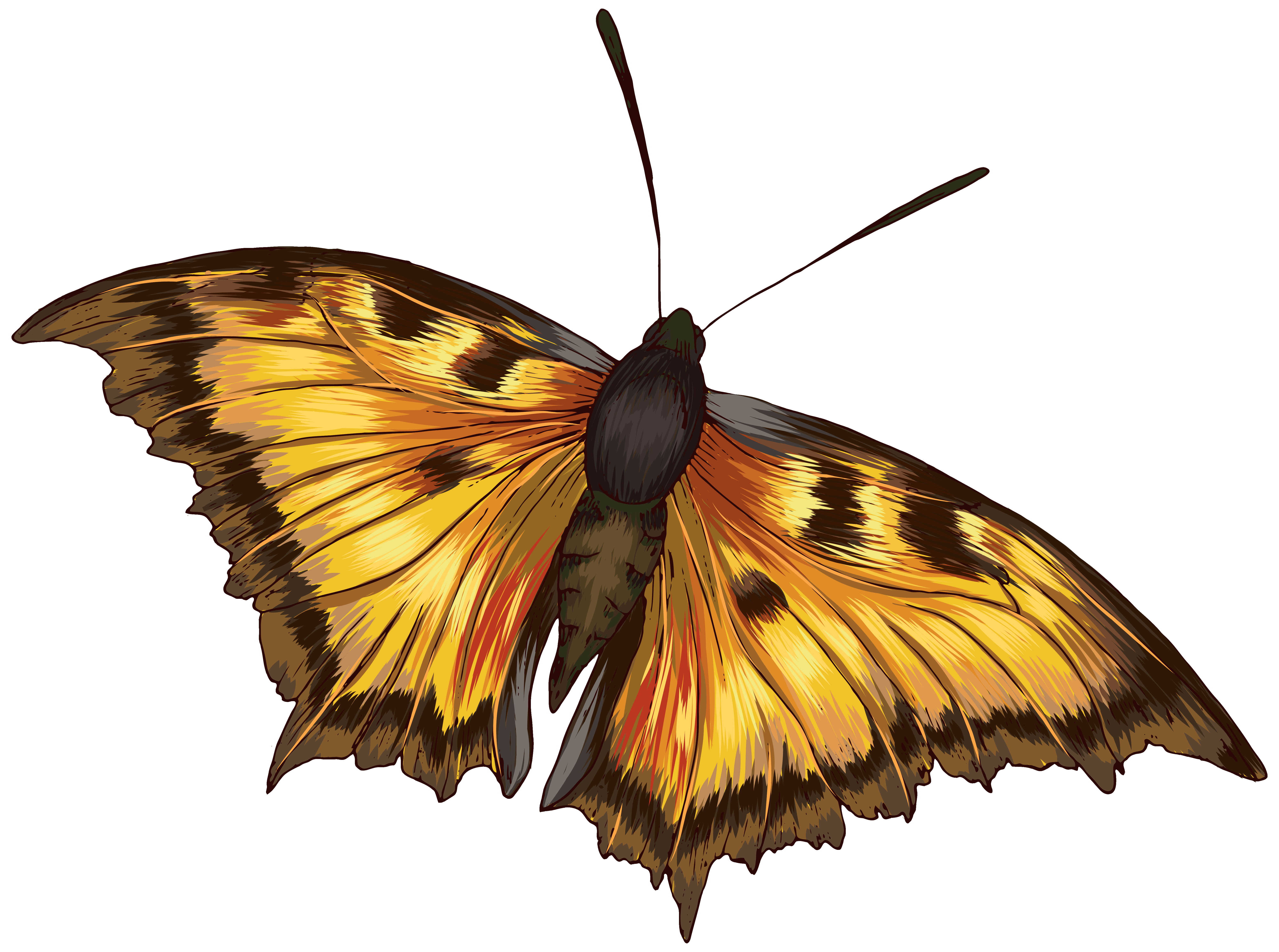 Butterfly Clipart PNG Image | Gallery Yopriceville - High-Quality Images and ...6235 x 4642