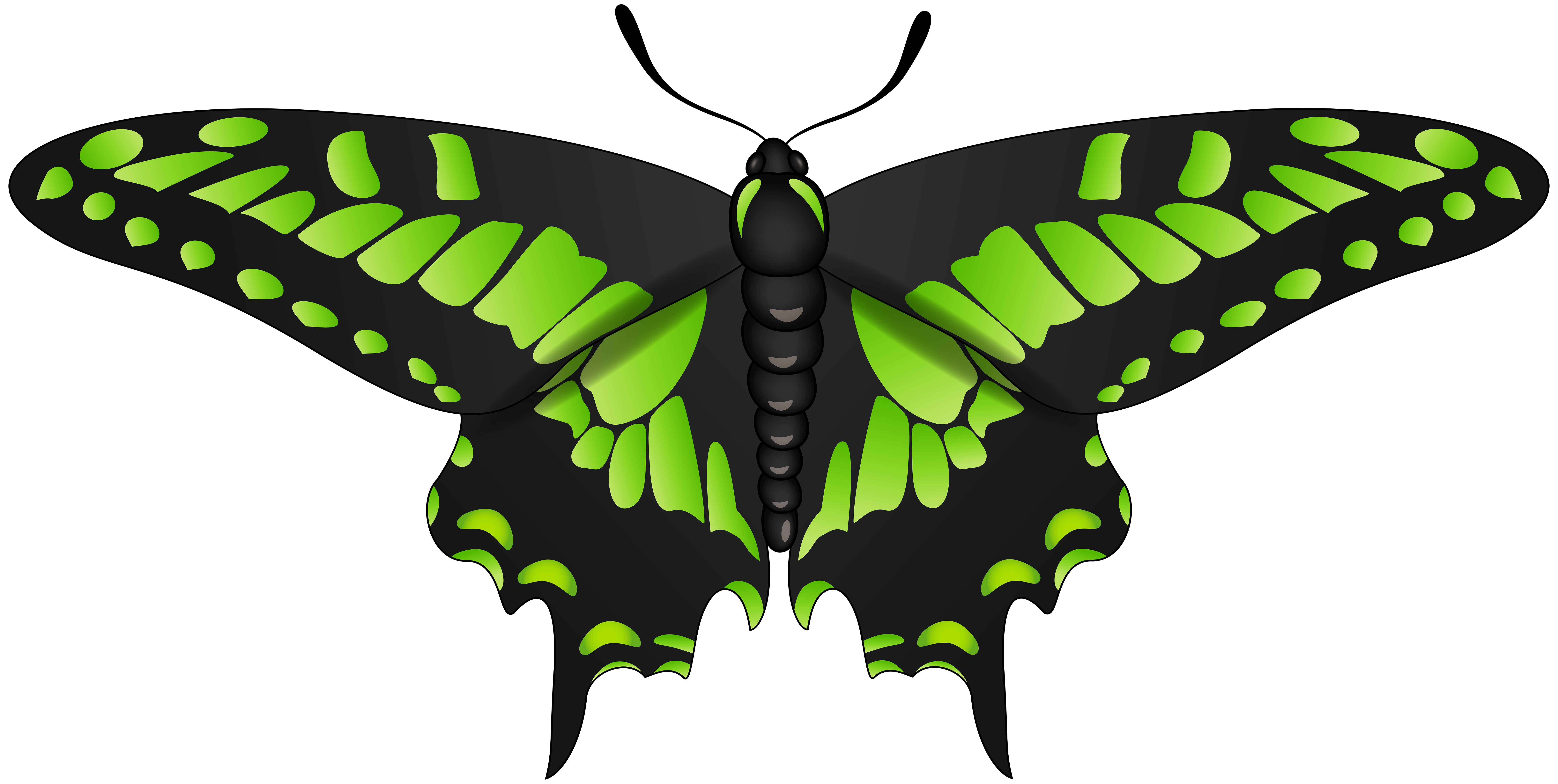 Butterfly Green Black Clip Art Image Gallery Yopriceville High