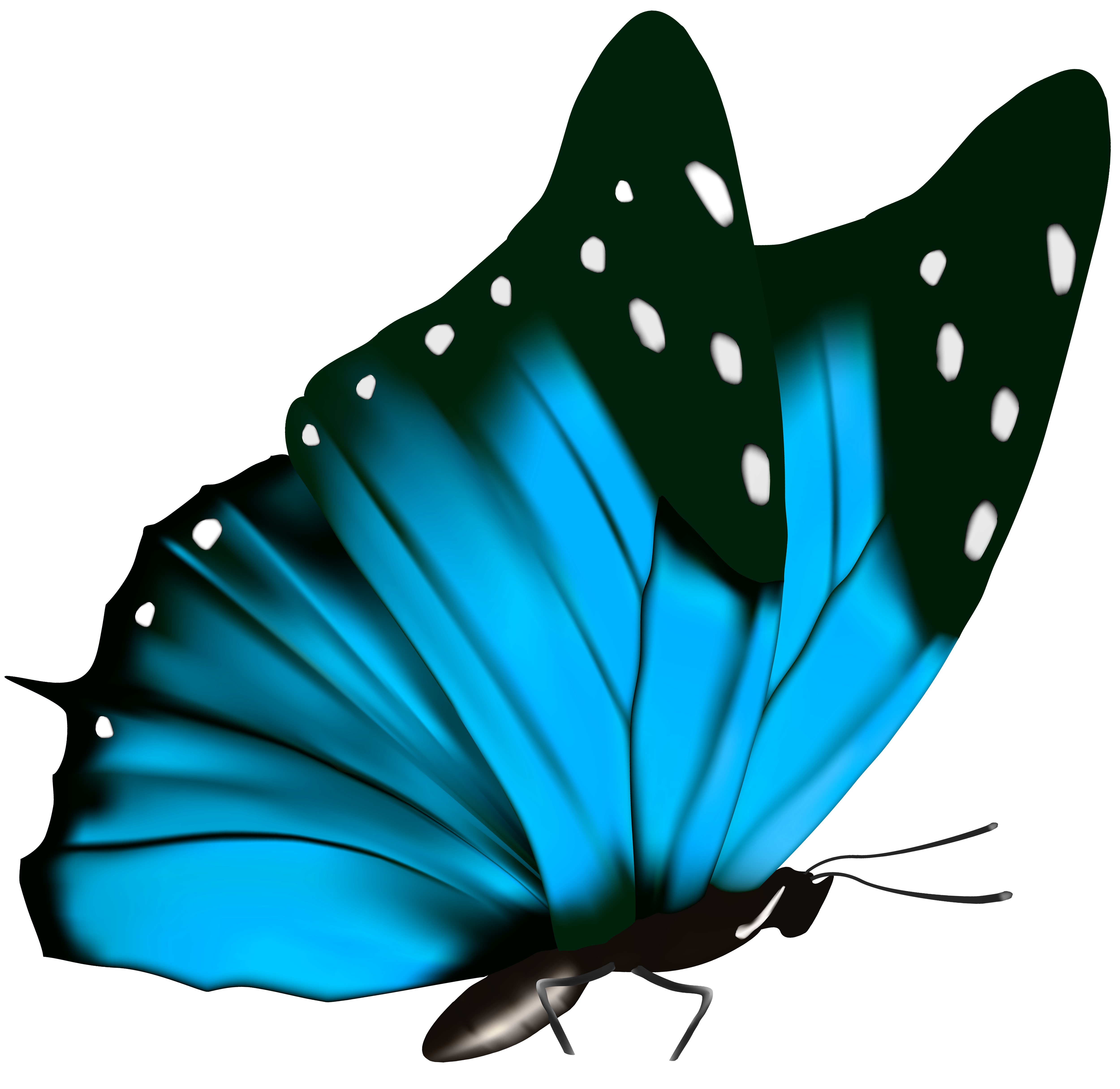 butterfly png clipart image gallery yopriceville high christmas mistletoe png