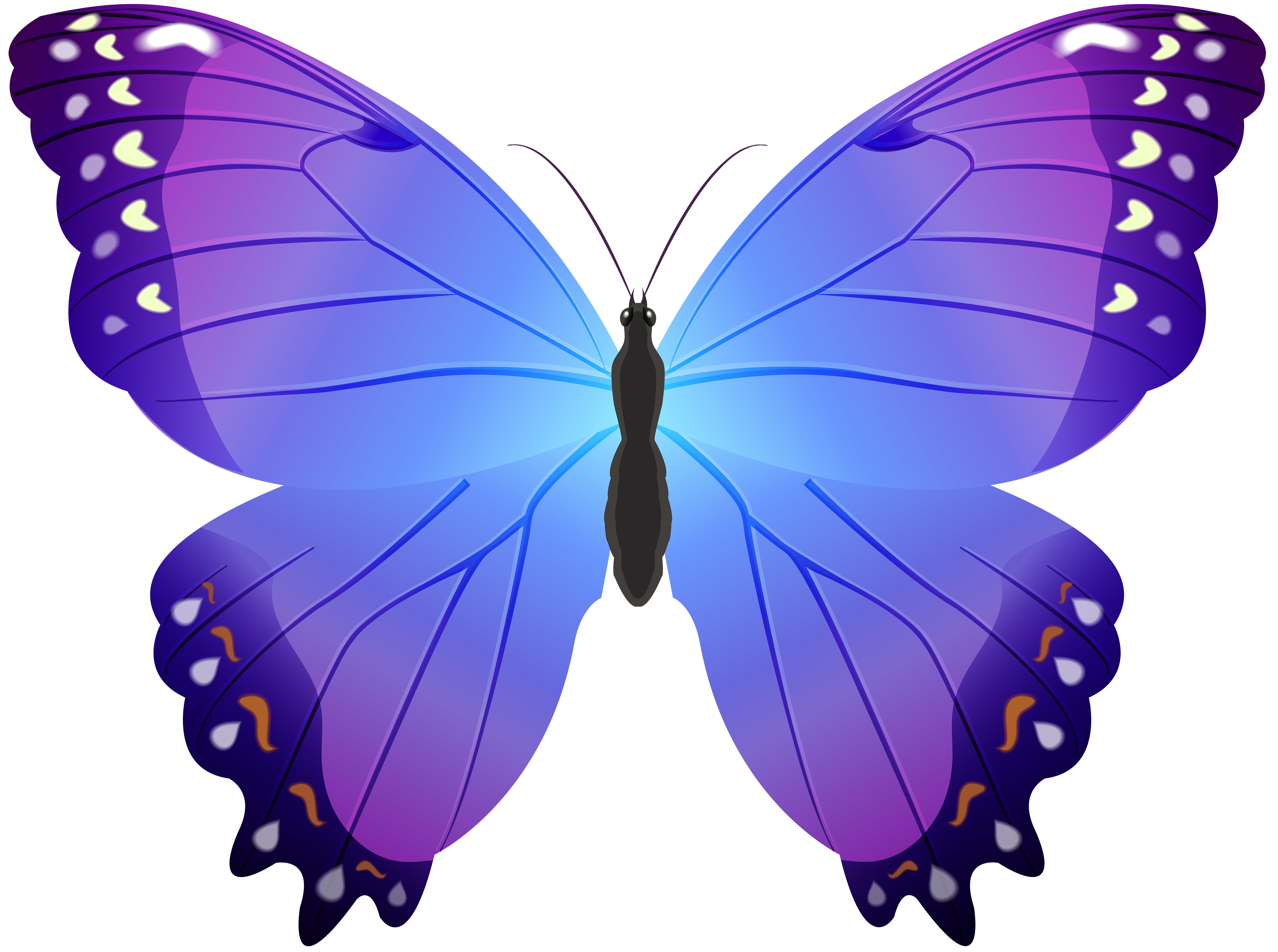 Purple Butterflies Png