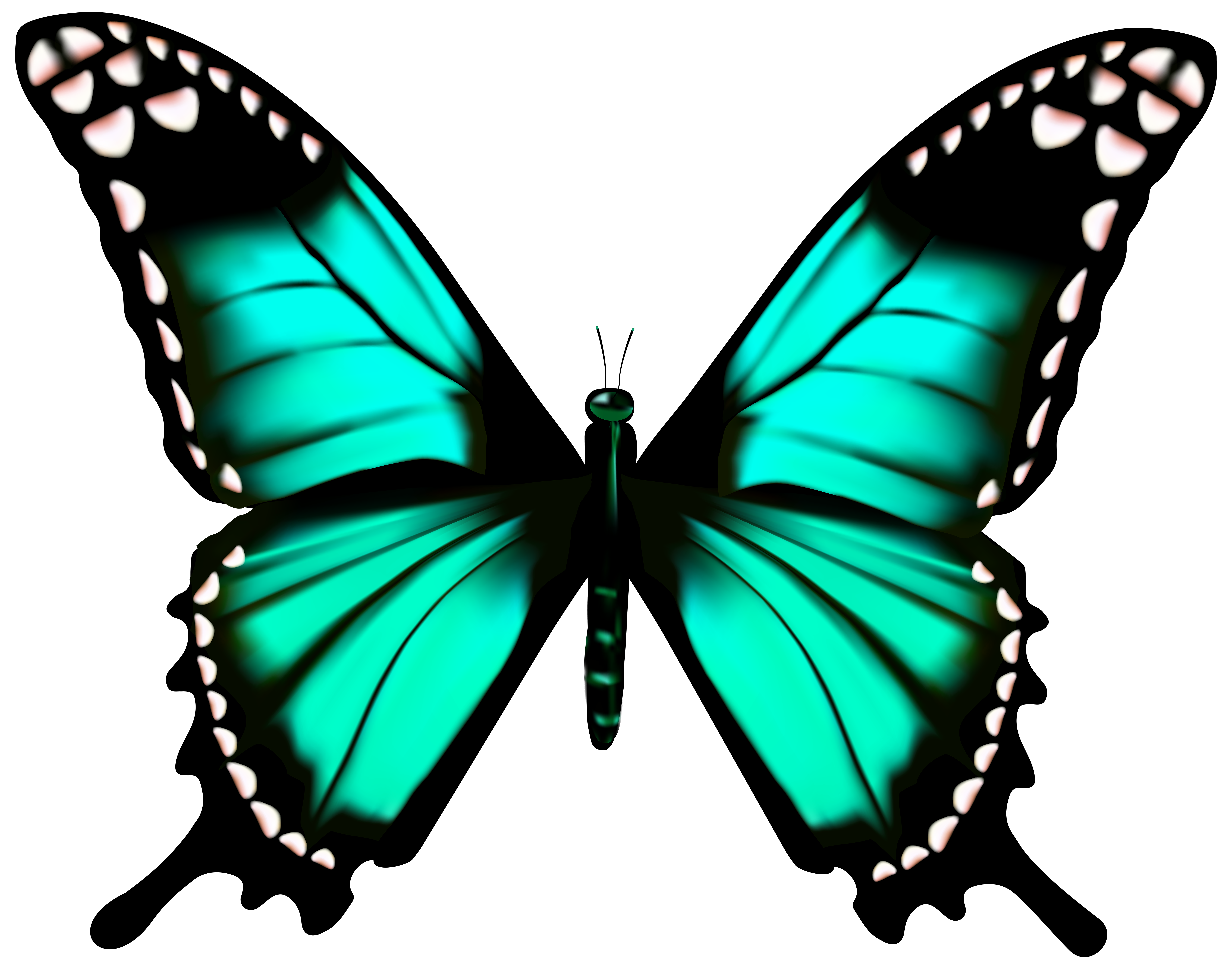 Download Butterfly Transparent PNG Clip Art Image | Gallery ...