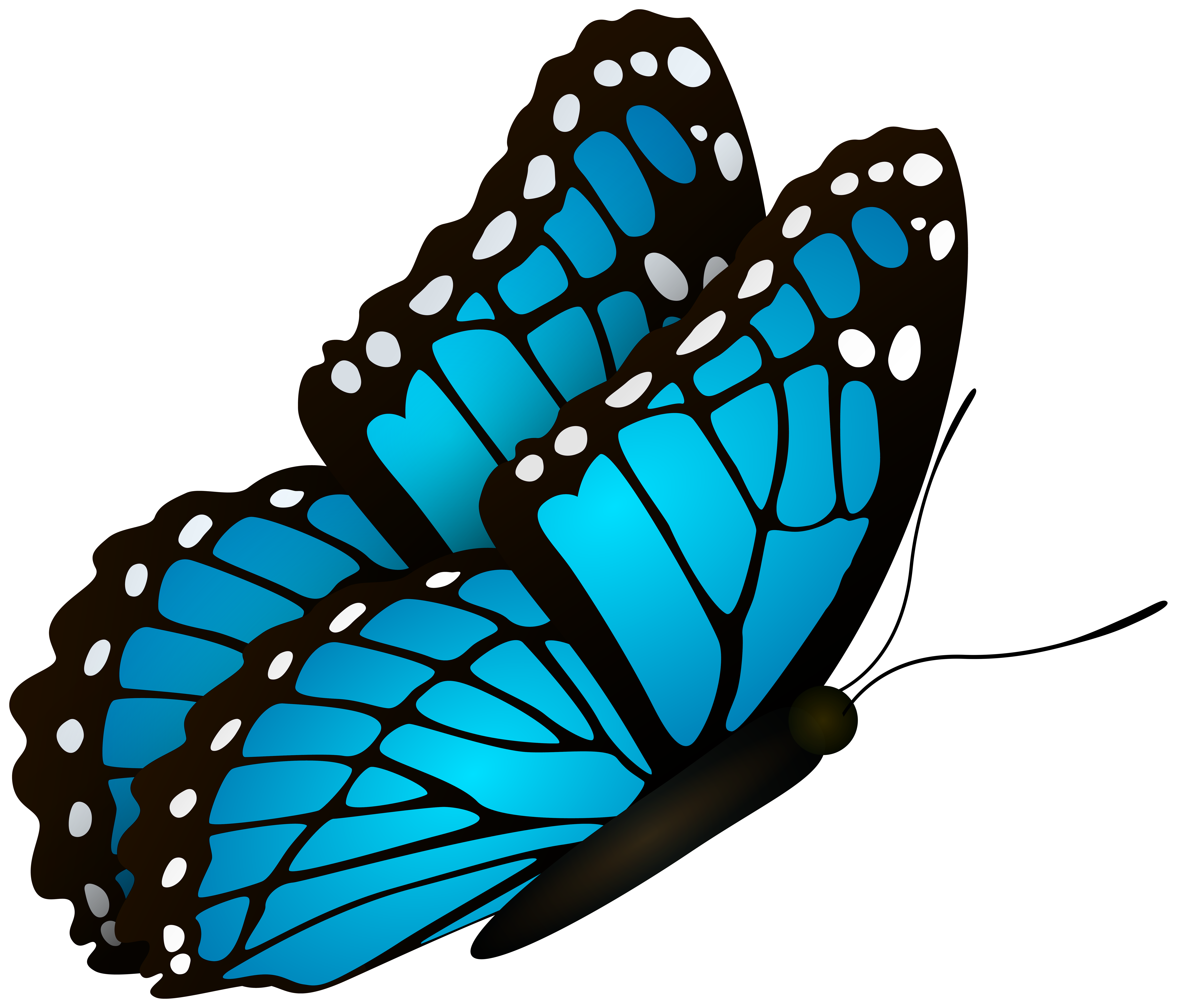 Flying Butterfly Blue Clipart Image Gallery Yopriceville High Quality Images And Transparent Png Free Clipart Flying Butterfly Blue Clipart Image Gallery Yopriceville High Quality Images And Transparent Png Free Clipart