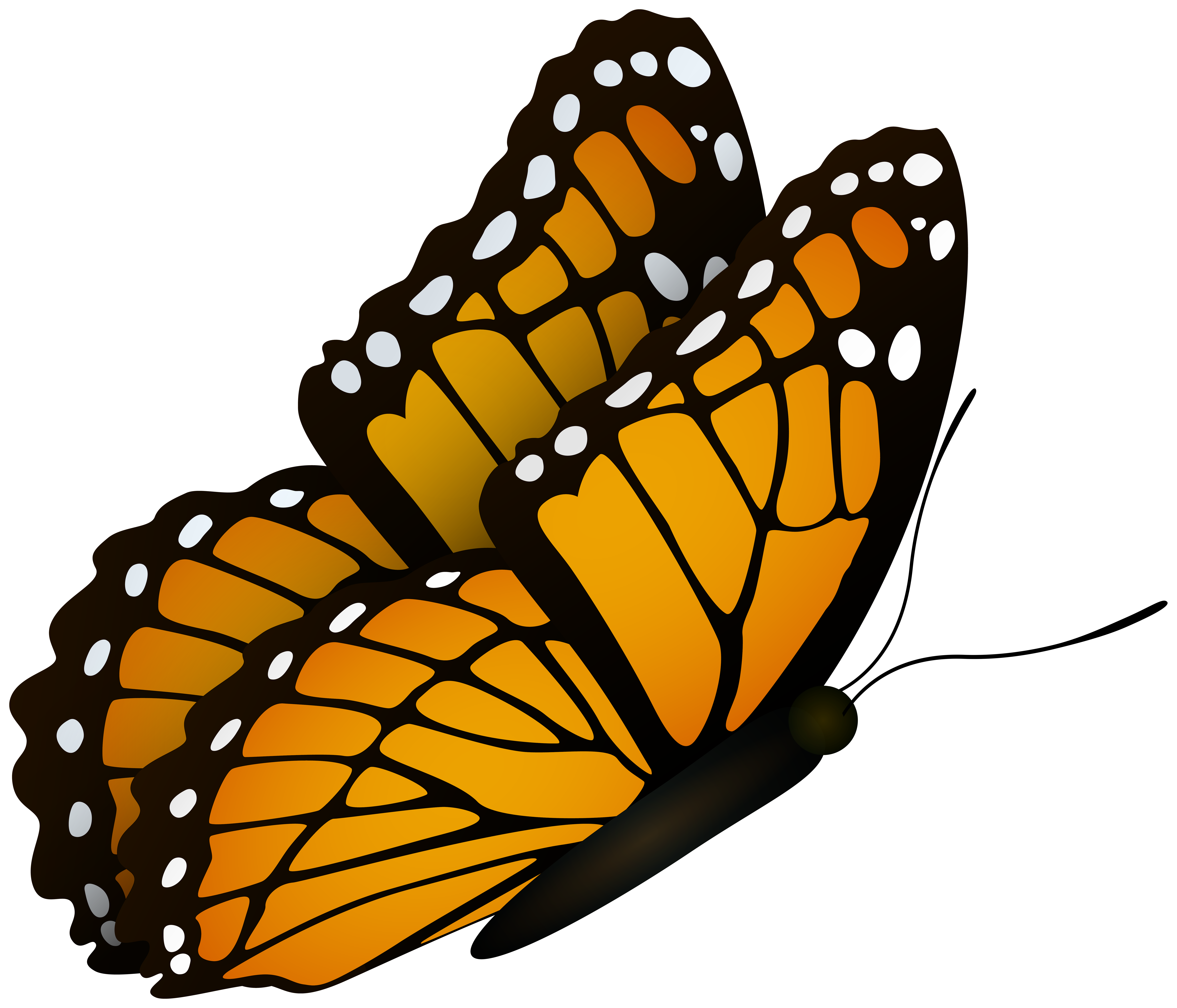 Flying Butterfly Clipart Image​  Gallery Yopriceville - High-Quality Free  Images and Transparent PNG Clipart