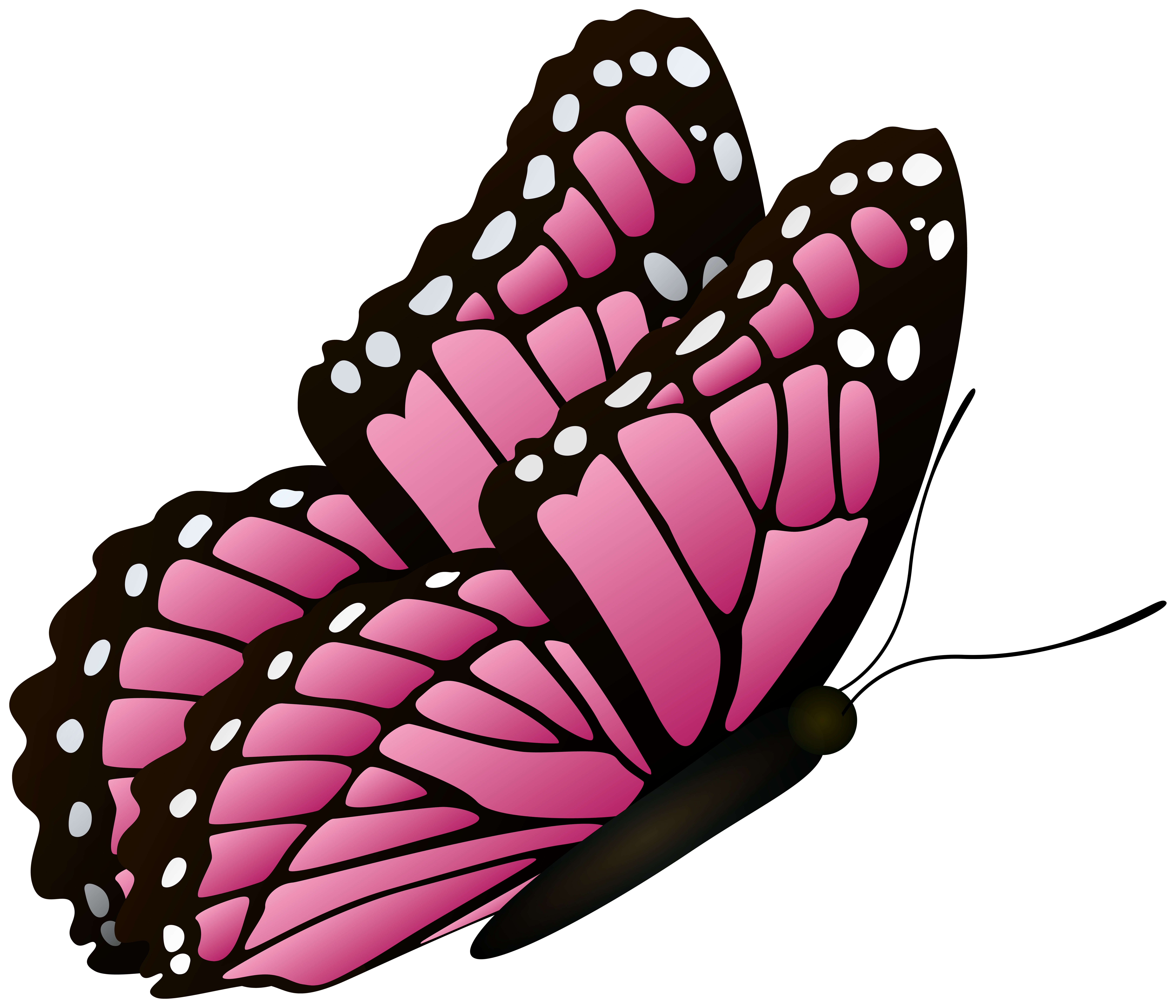 Pink Butterfly Cartoon Background At Lester Shippy Blog Pink Butterfly Cartoon Background At Lester Shippy Blog