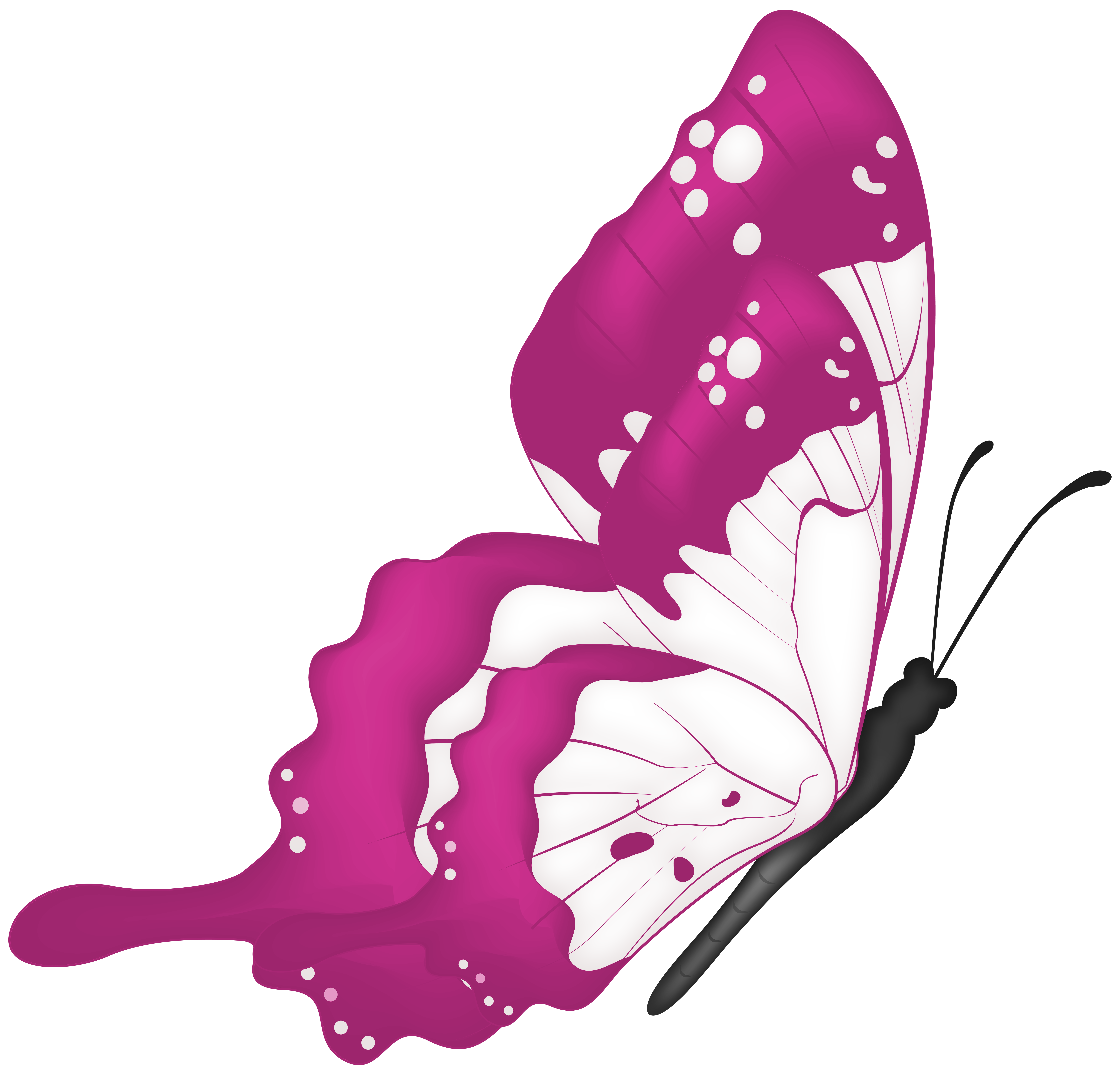 Flying Butterfly Pink PNG Transparent Clipart​ | Gallery Yopriceville -  High-Quality Free Images and Transparent PNG Clipart