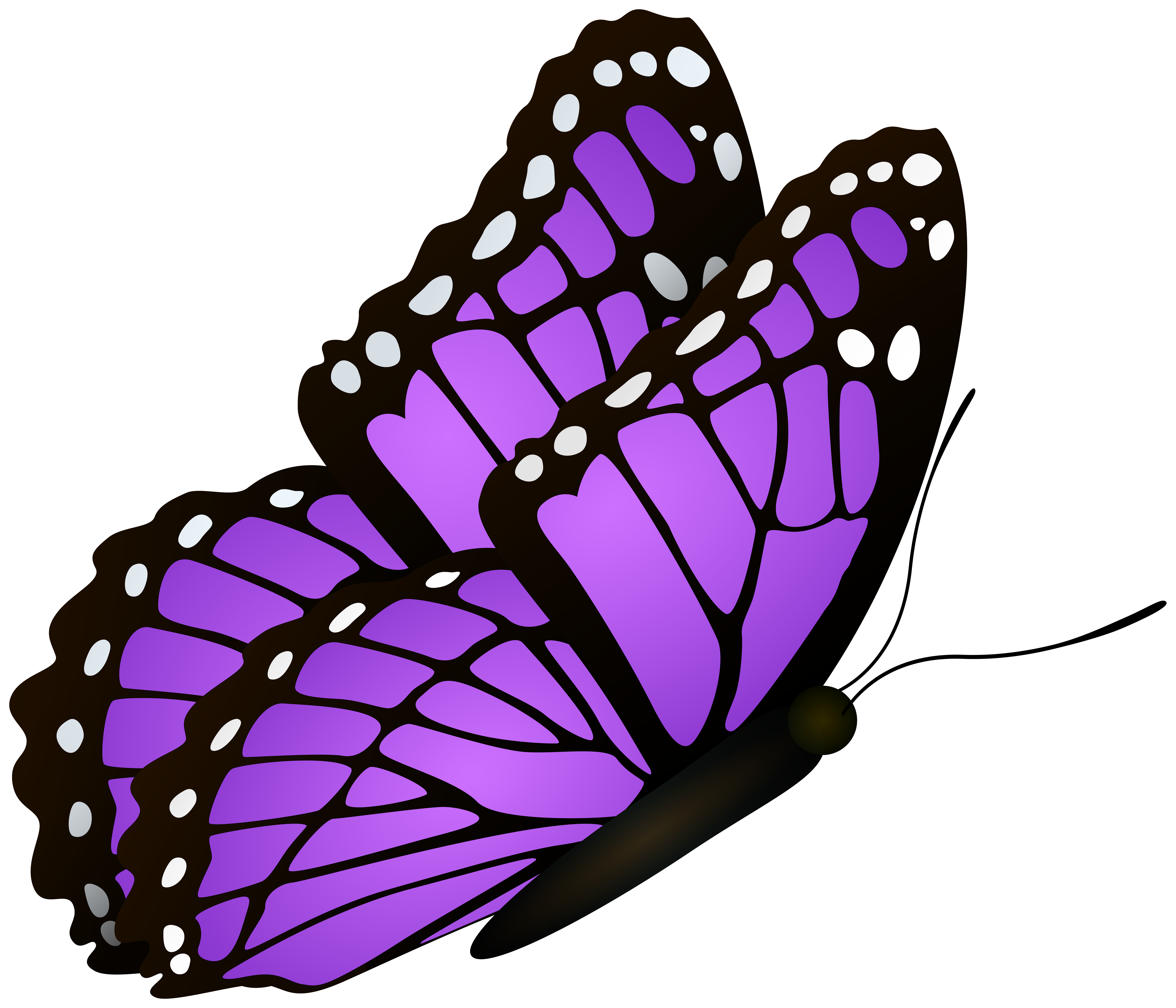 purple clipart