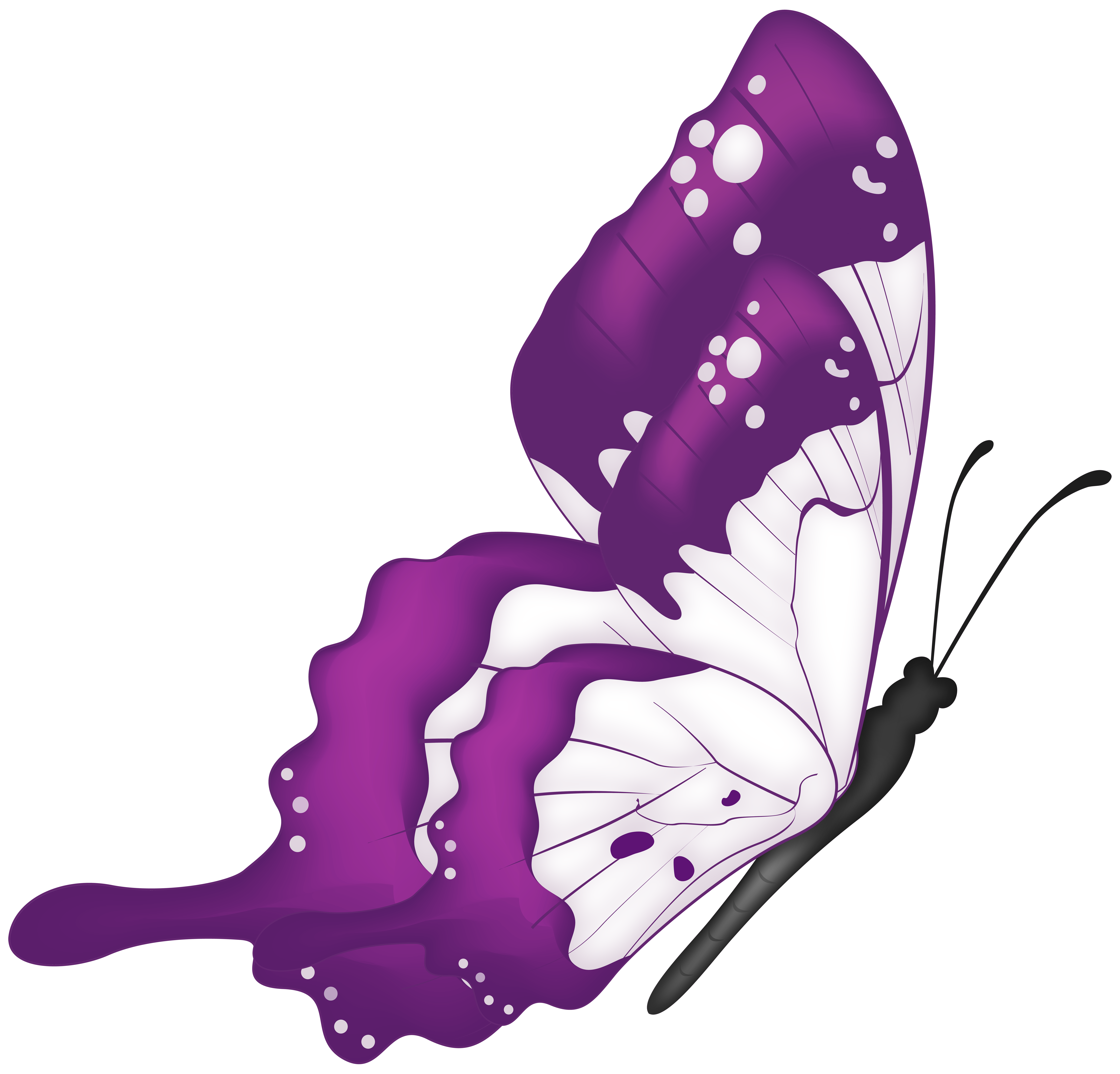 Flying Butterflies Purple Butterflies Flying, Schmetterling