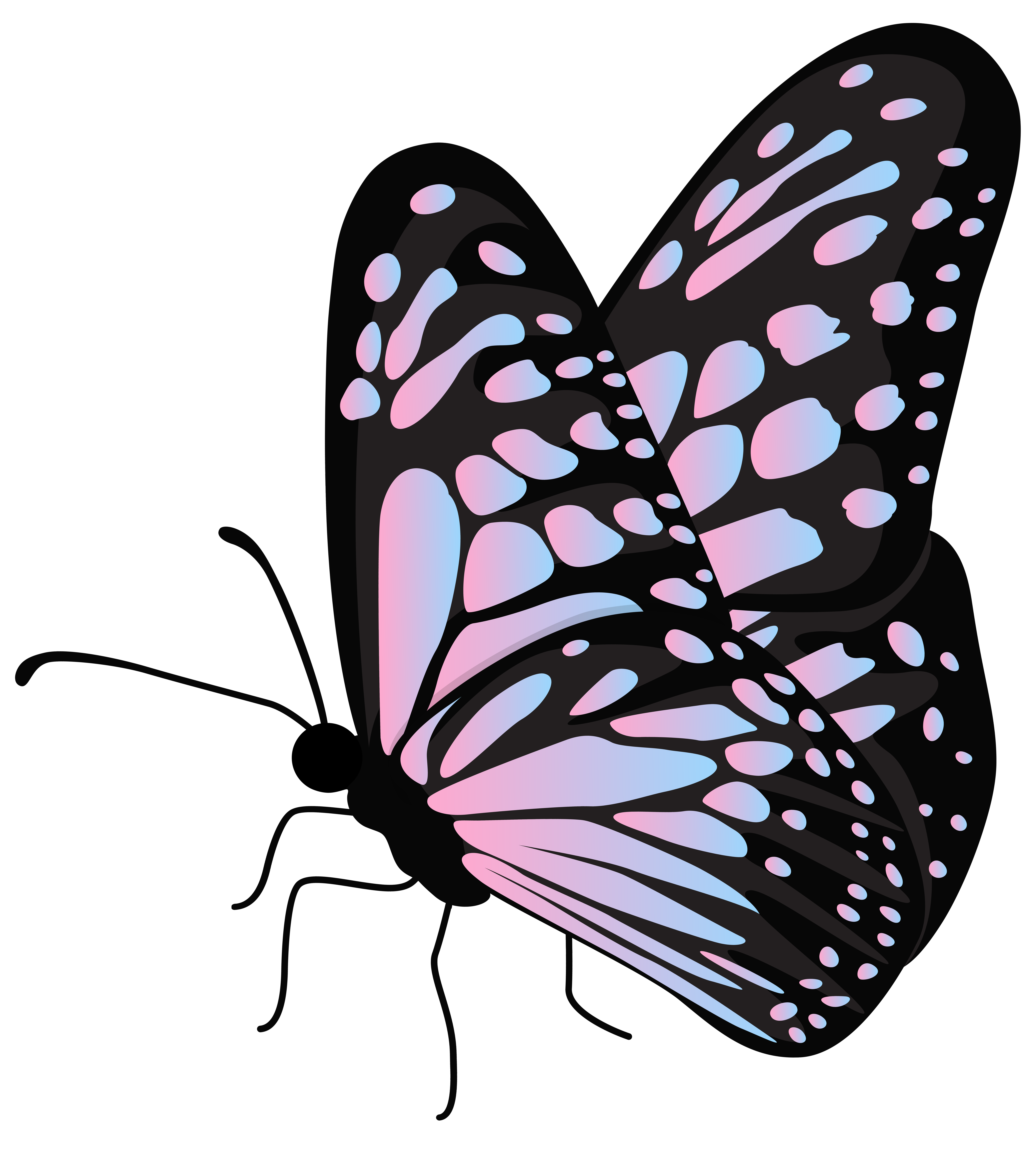 Flying Butterfly Transparent PNG Clipart​ | Gallery Yopriceville -  High-Quality Free Images and Transparent PNG Clipart