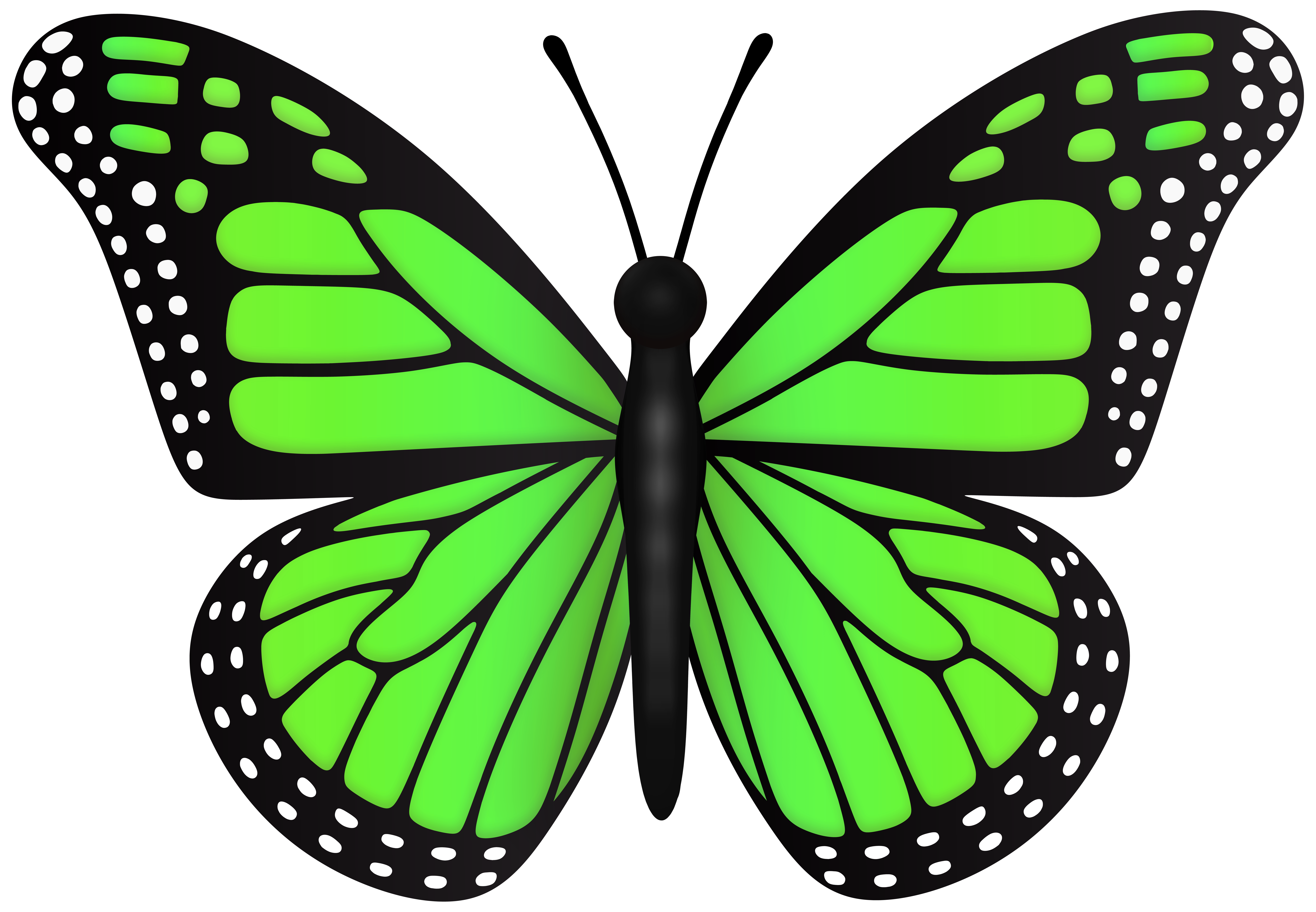 purple and green butterfly clipart