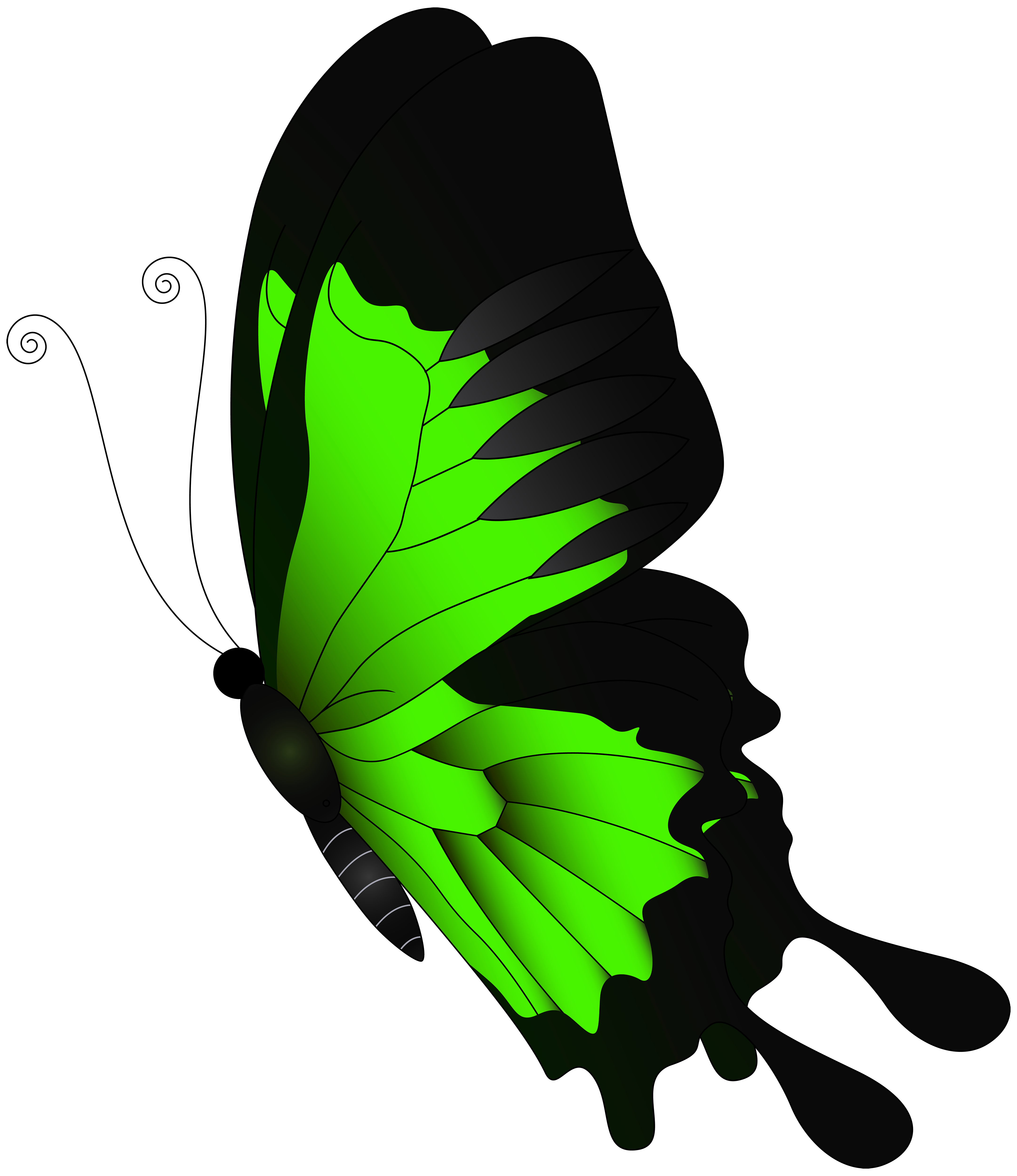Green Flying Butterfly PNG Clip Art​  Gallery Yopriceville - High-Quality  Free Images and Transparent PNG Clipart