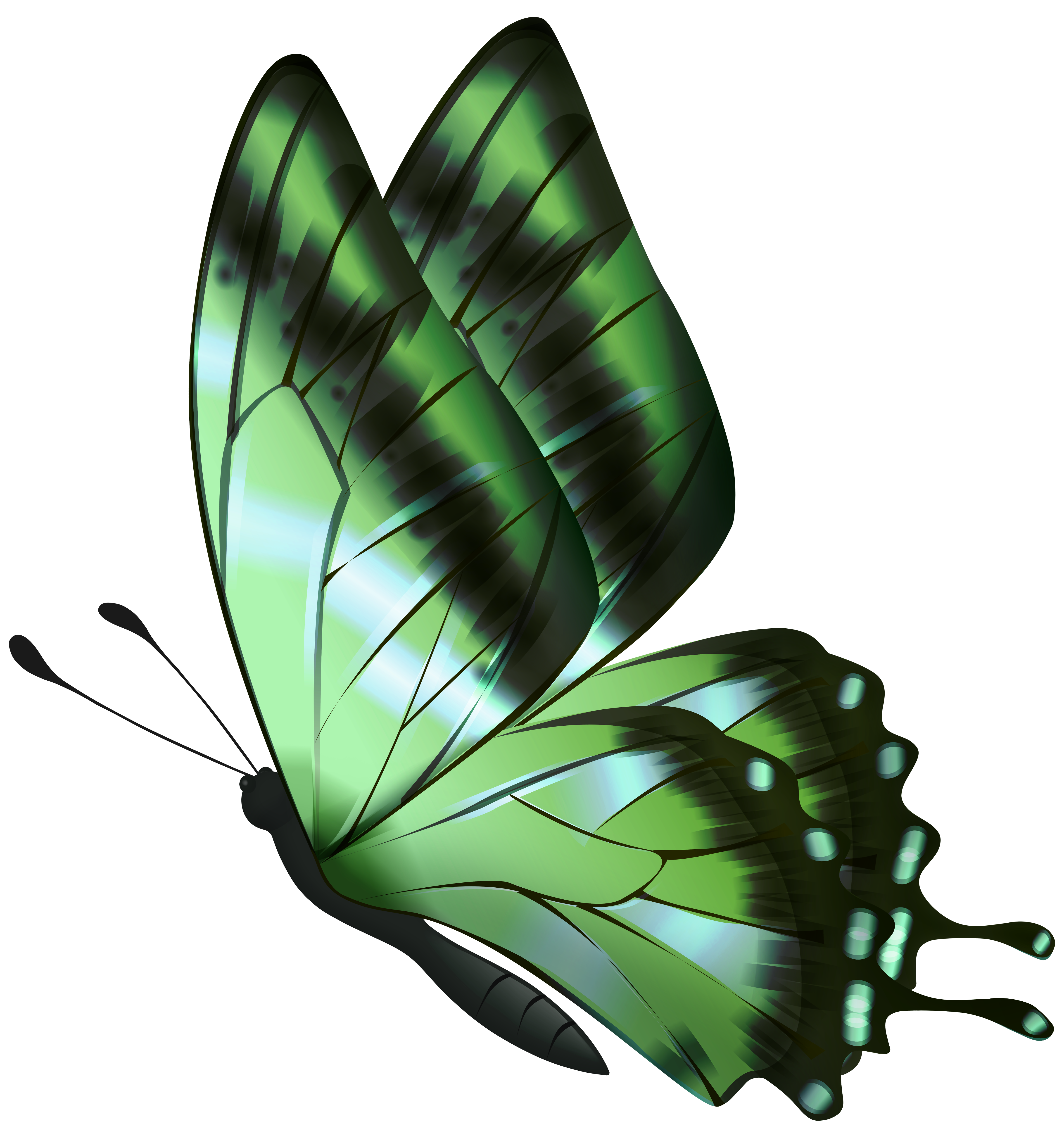 Green Flying Butterfly PNG Clipart​  Gallery Yopriceville - High-Quality  Free Images and Transparent PNG Clipart