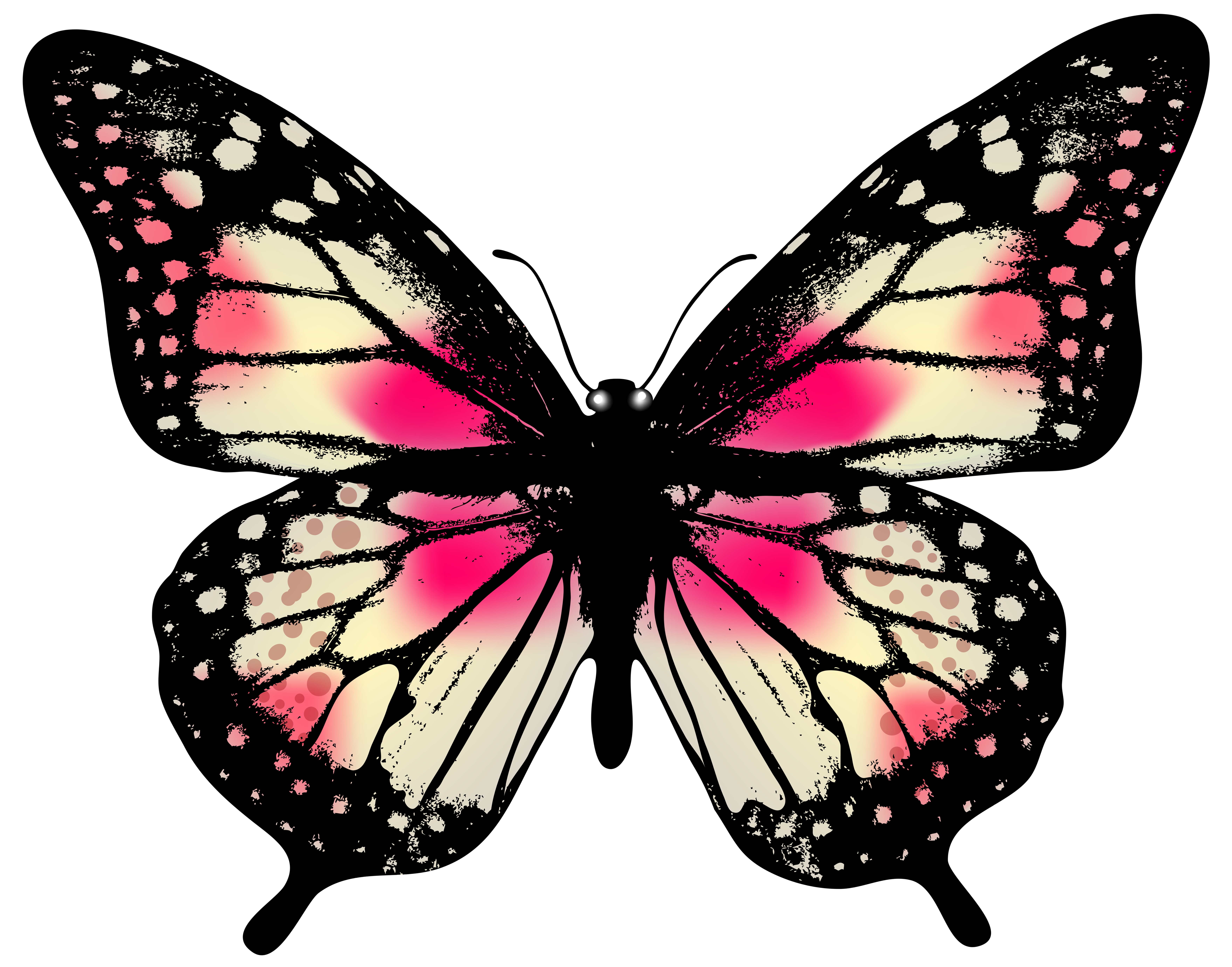 Dessin Decoration Papillon Dessin Decoration Papillon