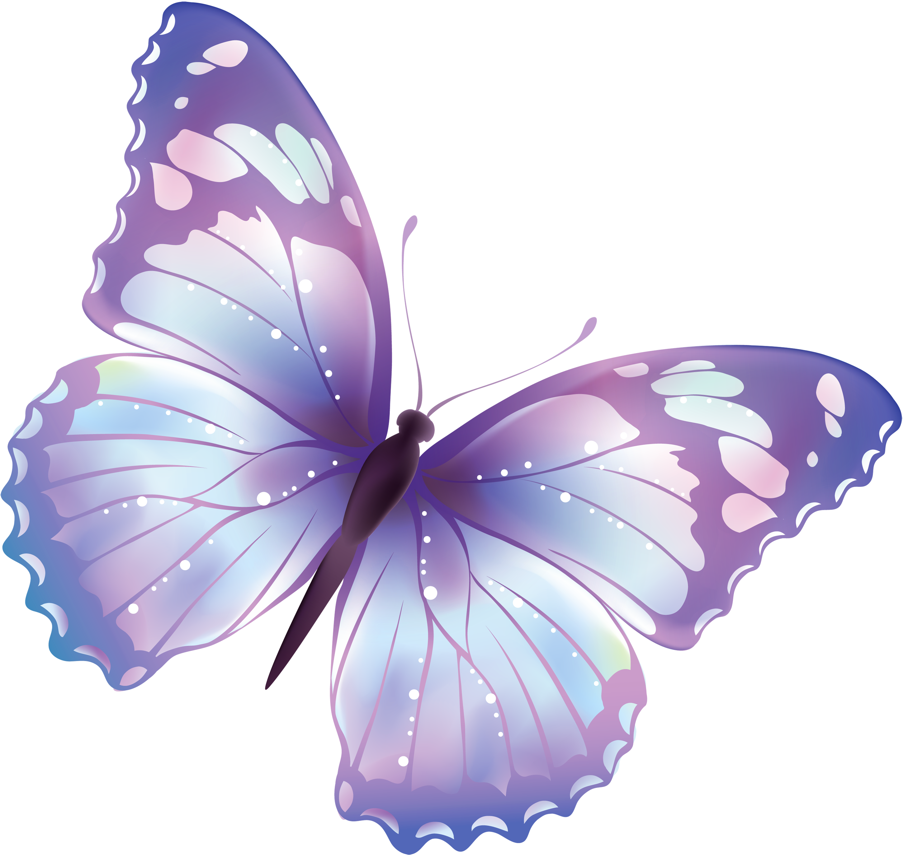 large transparent butterfly png