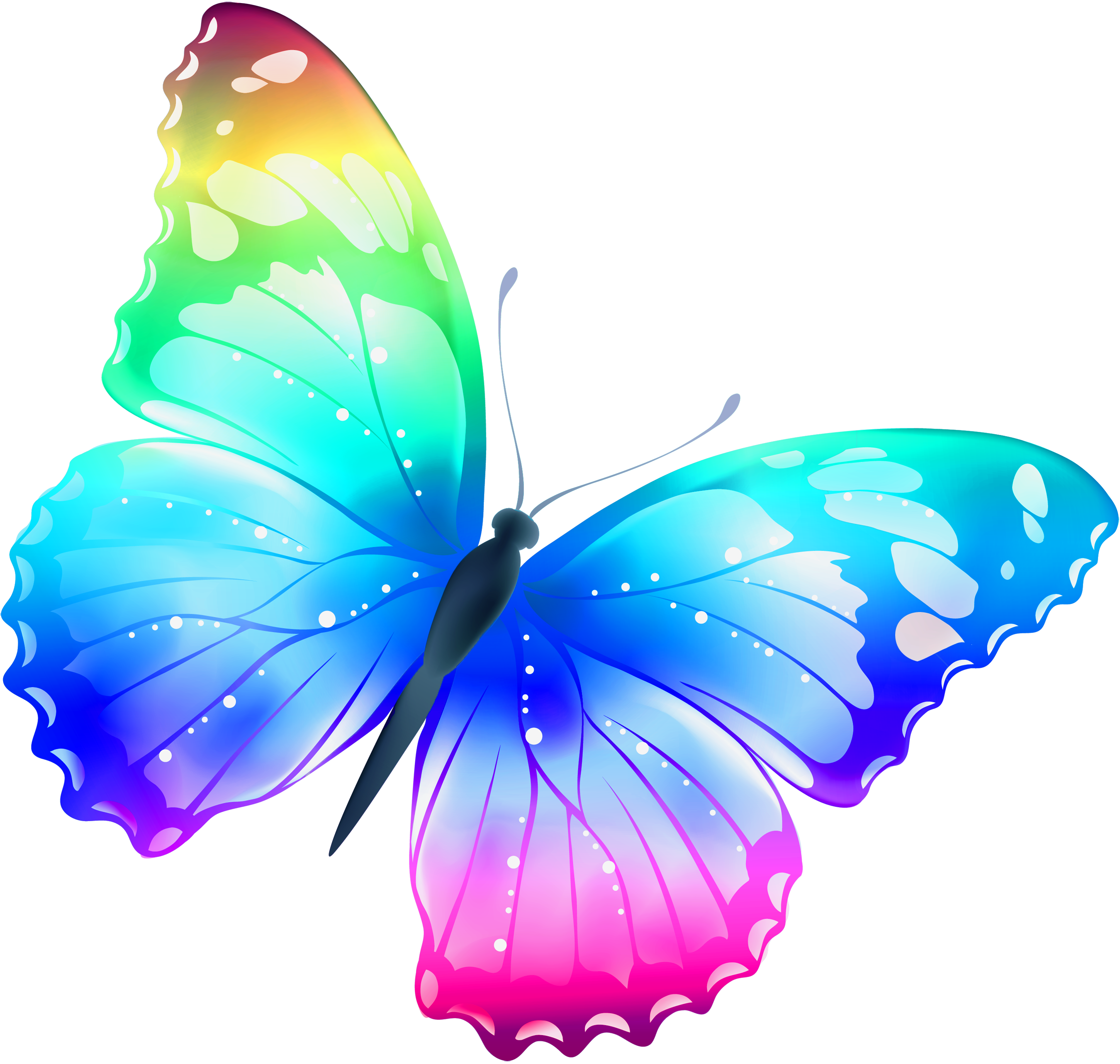 free butterfly images