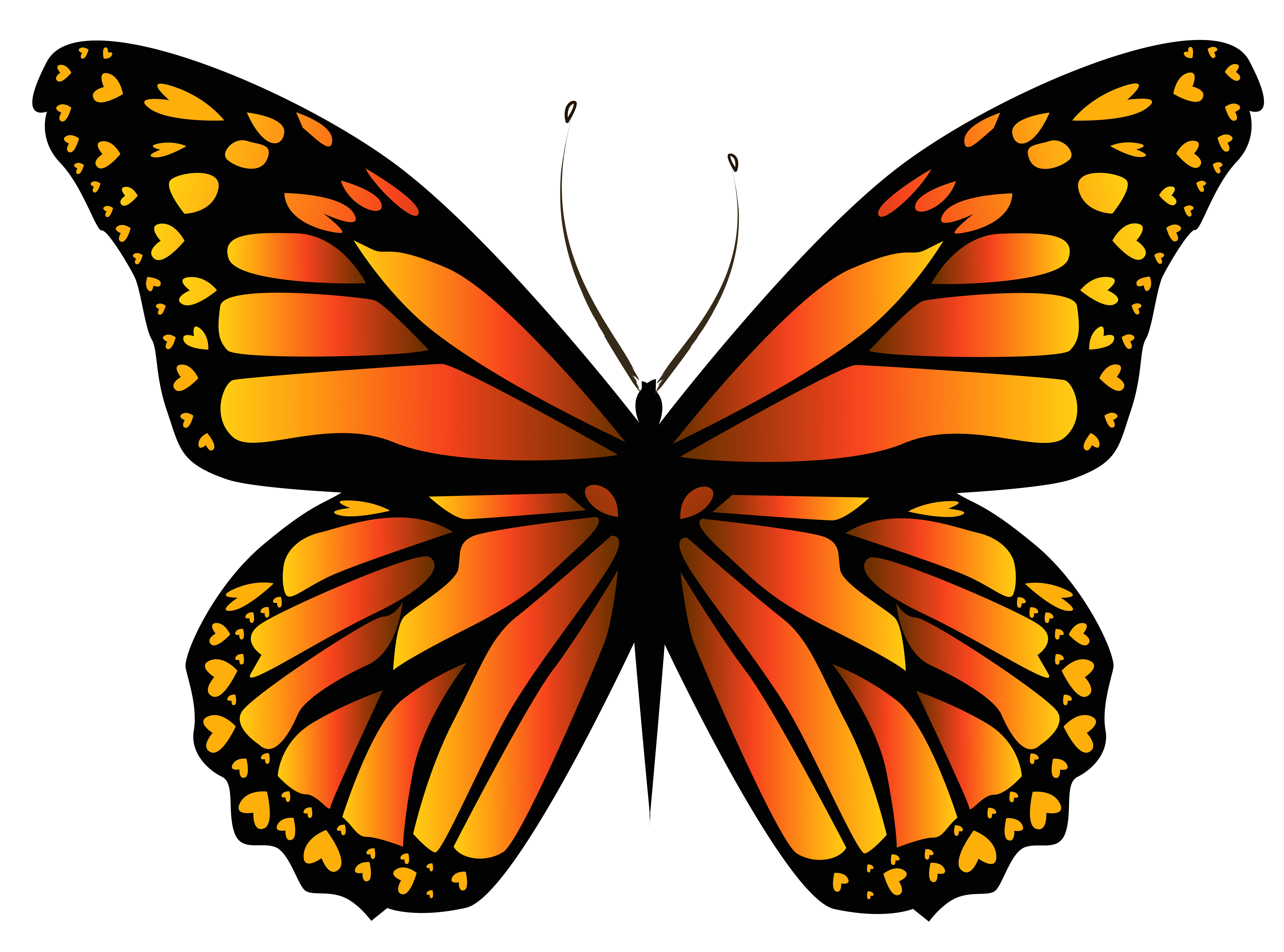 Free Free 96 Orange Butterfly Svg SVG PNG EPS DXF File