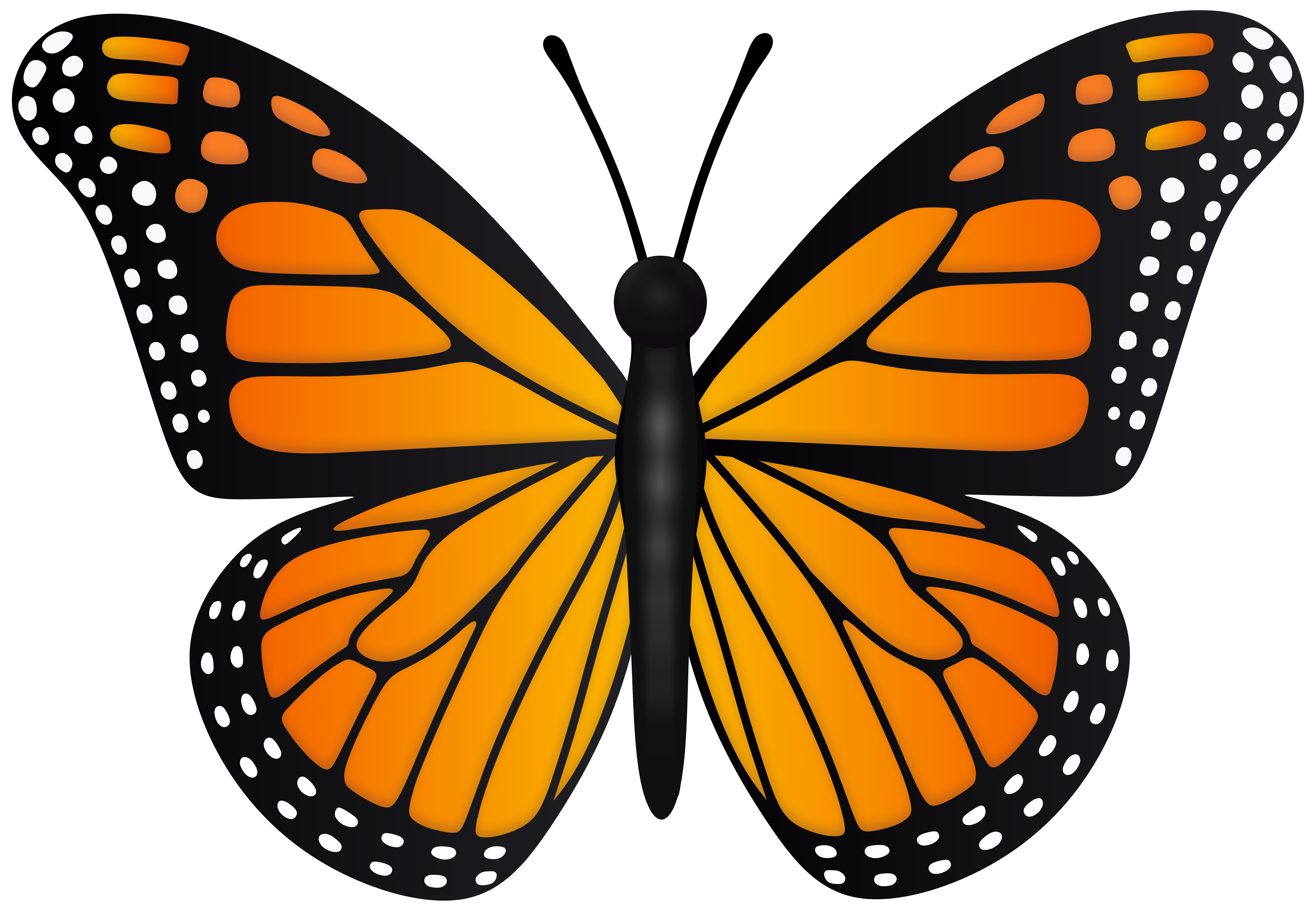 Orange Butterfly Transparent PNG Clipart​ | Gallery Yopriceville -  High-Quality Free Images and Transparent PNG Clipart