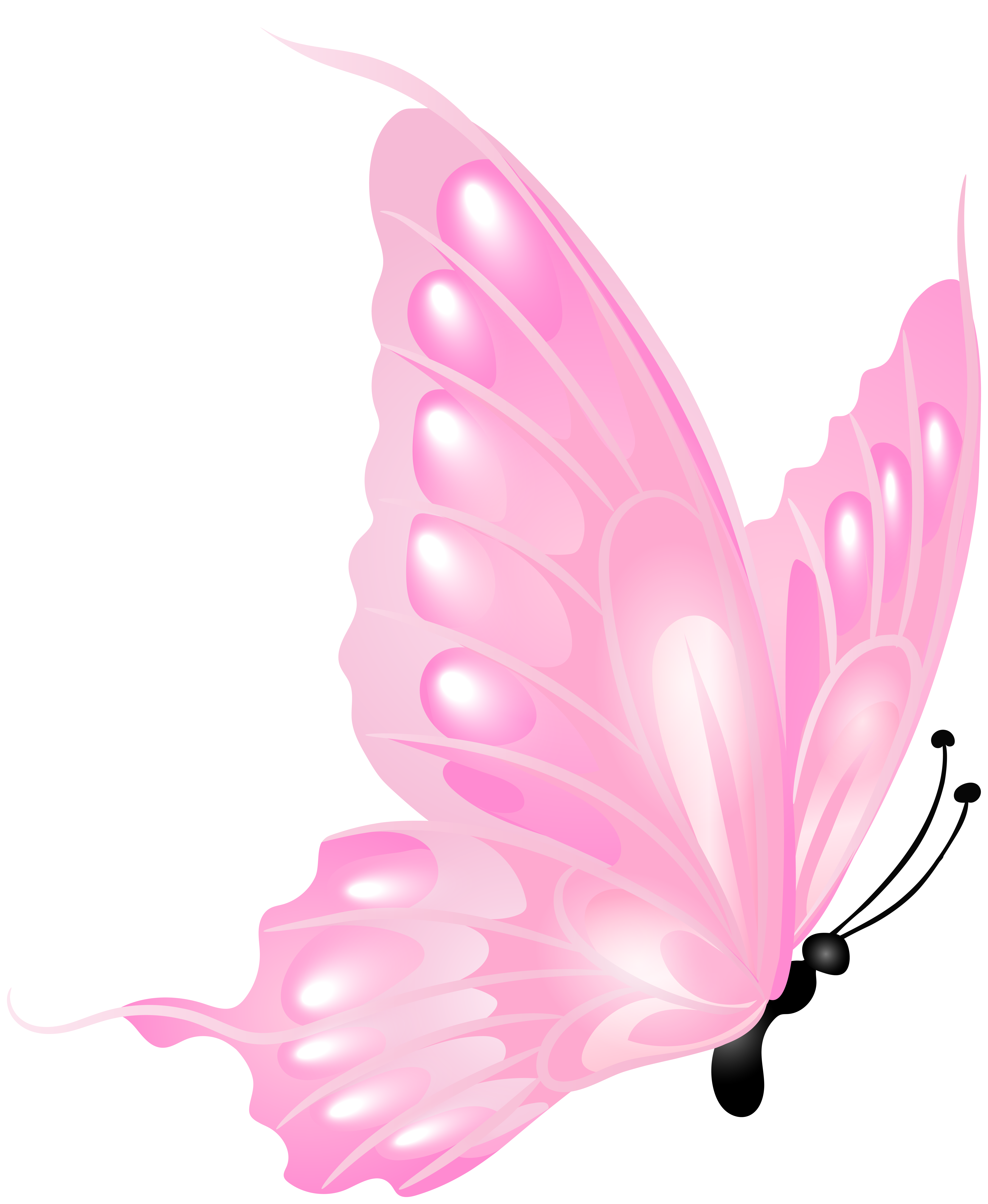 Pink Butterfly Transparent PNG Clipart​ | Gallery Yopriceville -  High-Quality Free Images and Transparent PNG Clipart