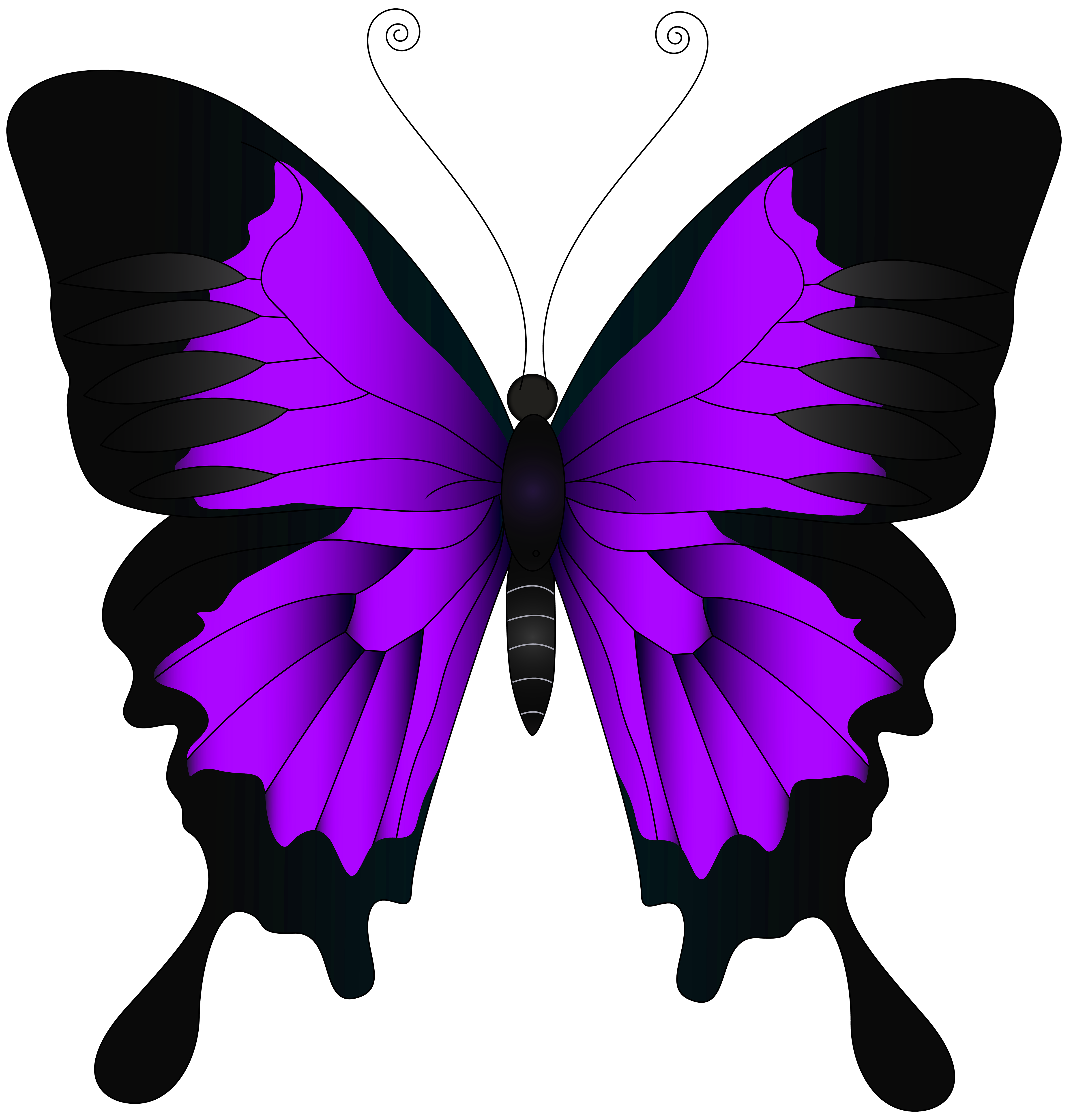 purple butterfly clip art