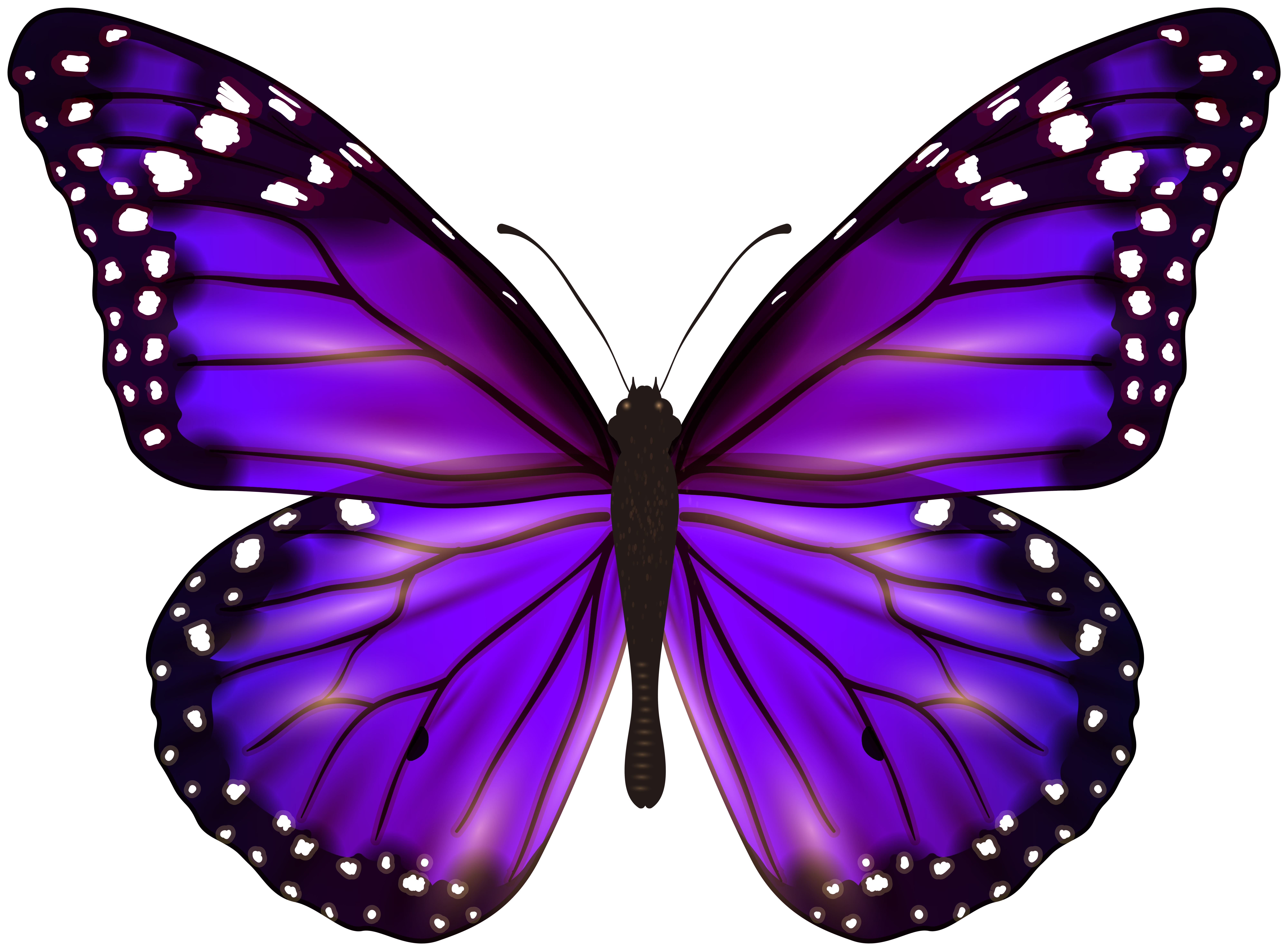 Purple Butterfly PNG Clipart | Gallery Yopriceville - High ...