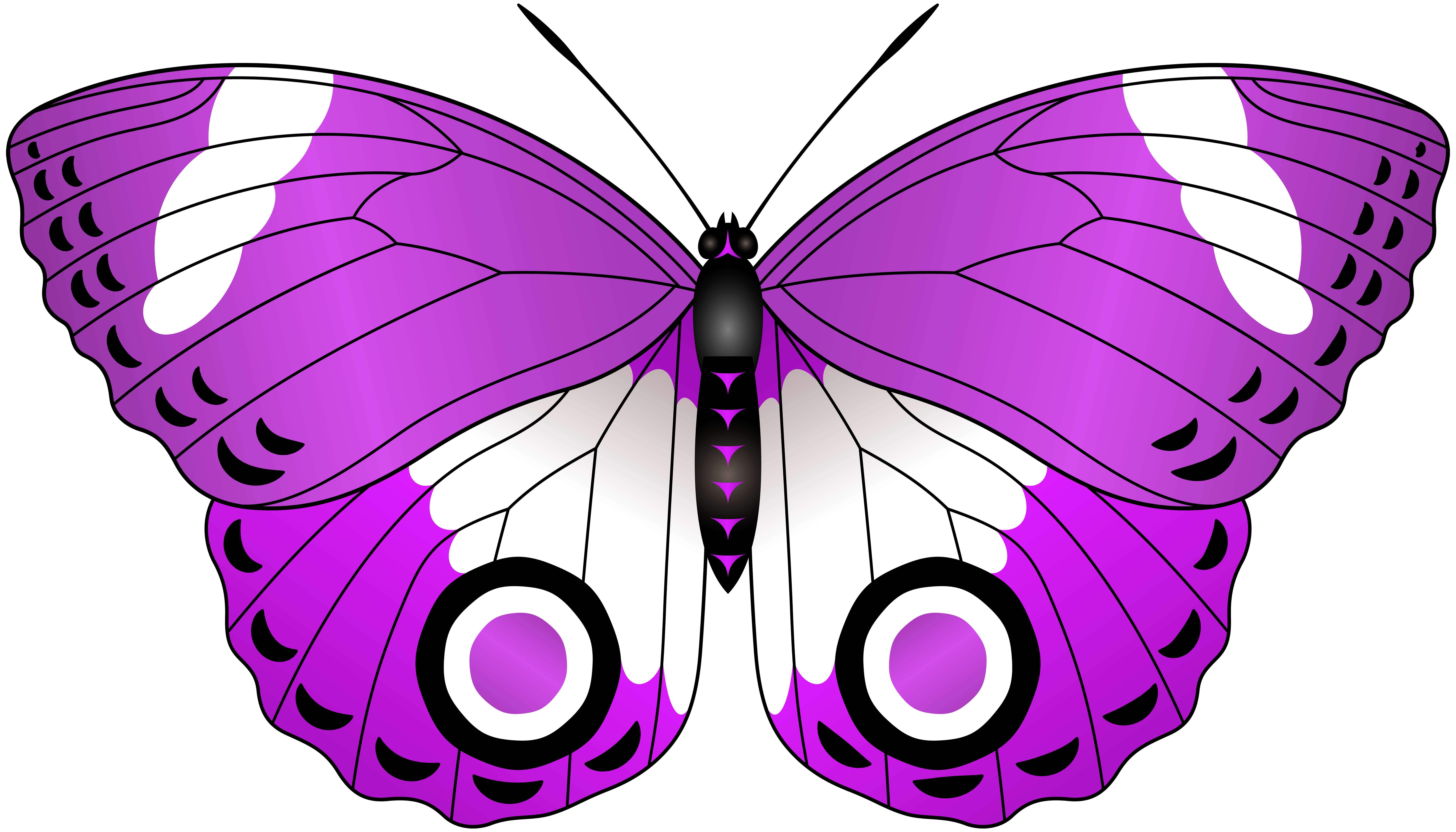 purple butterfly clip art