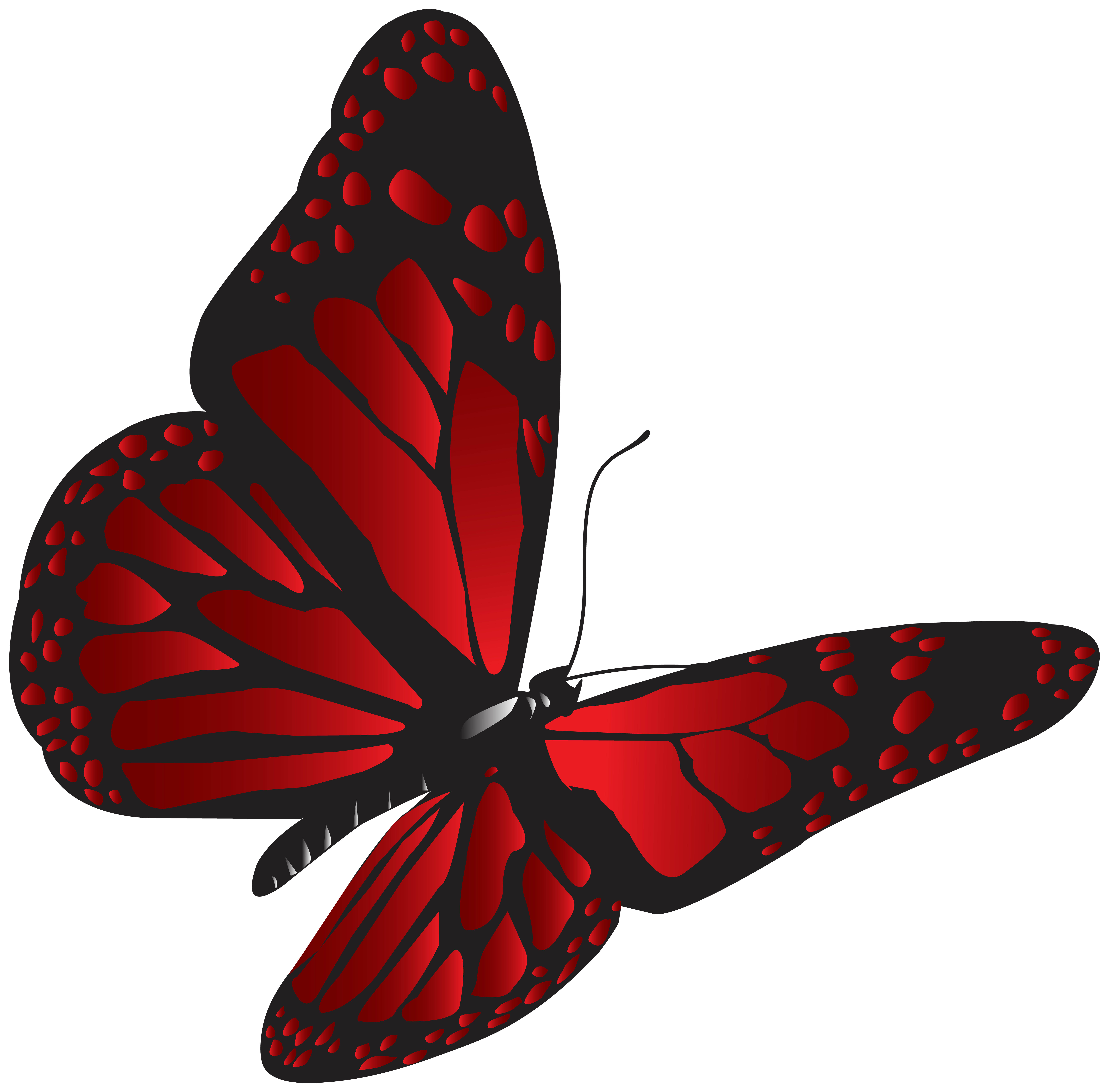 red butterfly clip art