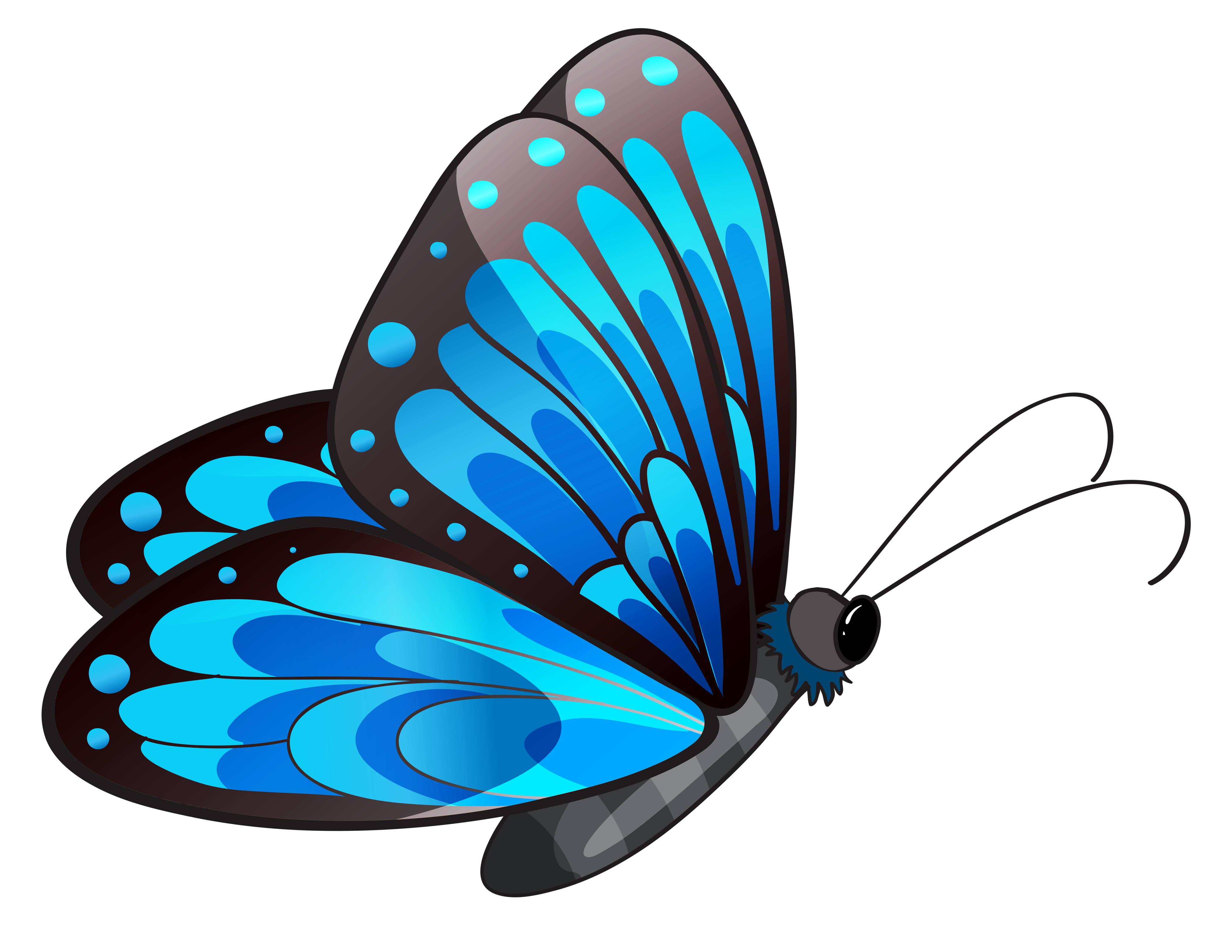 Transparent Blue Butterfly PNG Clipart | Gallery Yopriceville - High ...