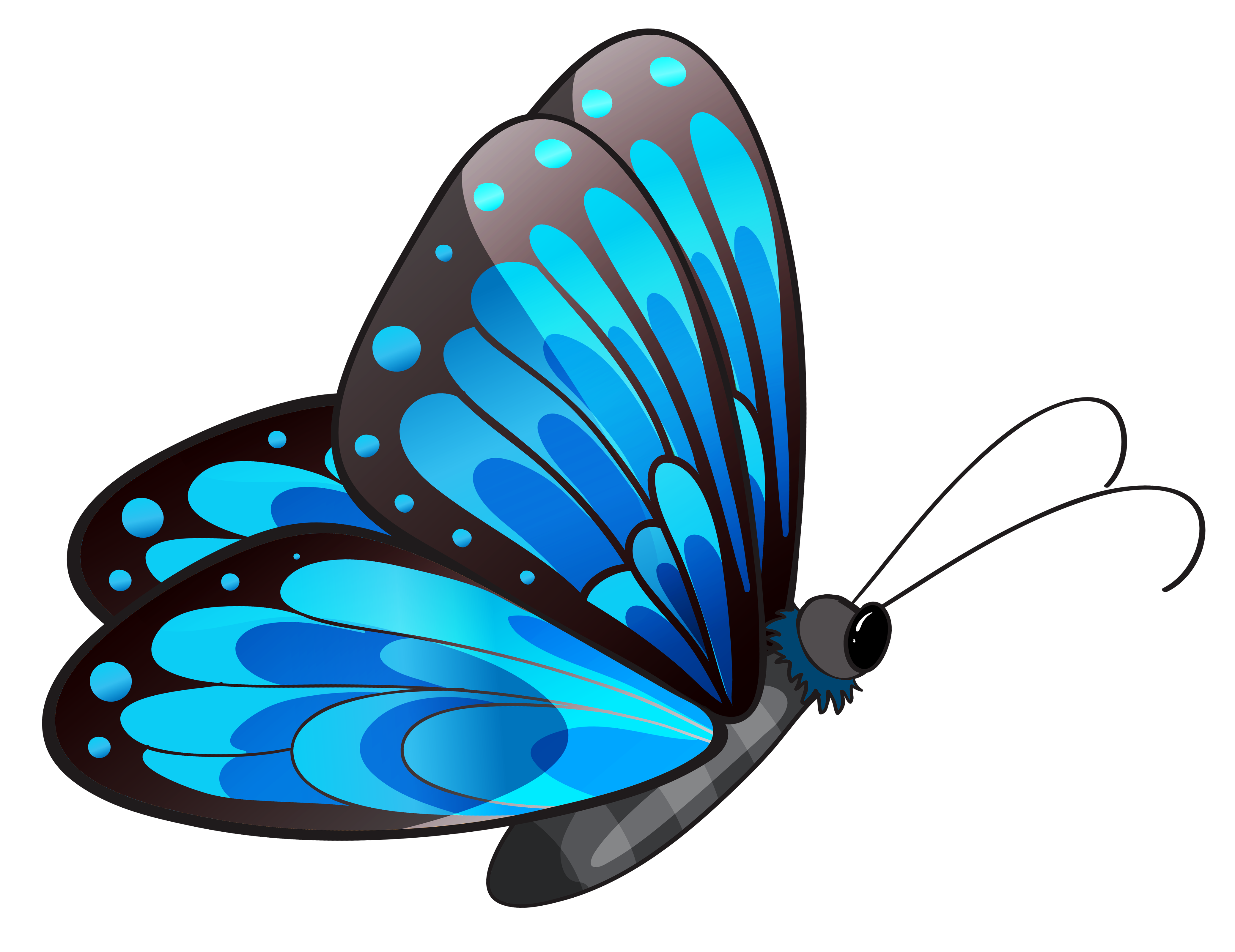 Transparent Blue Butterfly PNG Clipart | Gallery Yopriceville - High