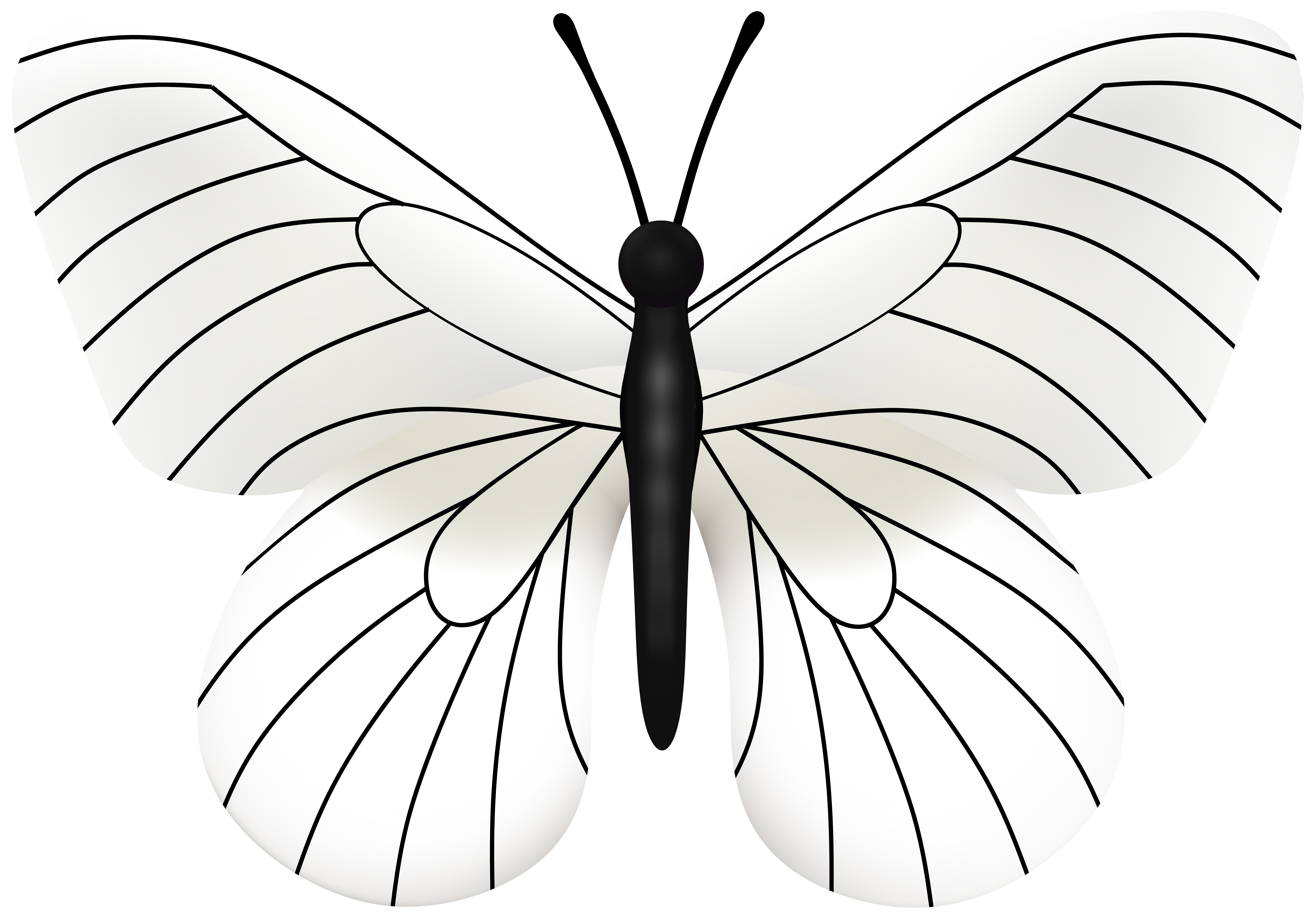 White Butterfly PNG Transparent Clipart​ | Gallery Yopriceville -  High-Quality Free Images and Transparent PNG Clipart