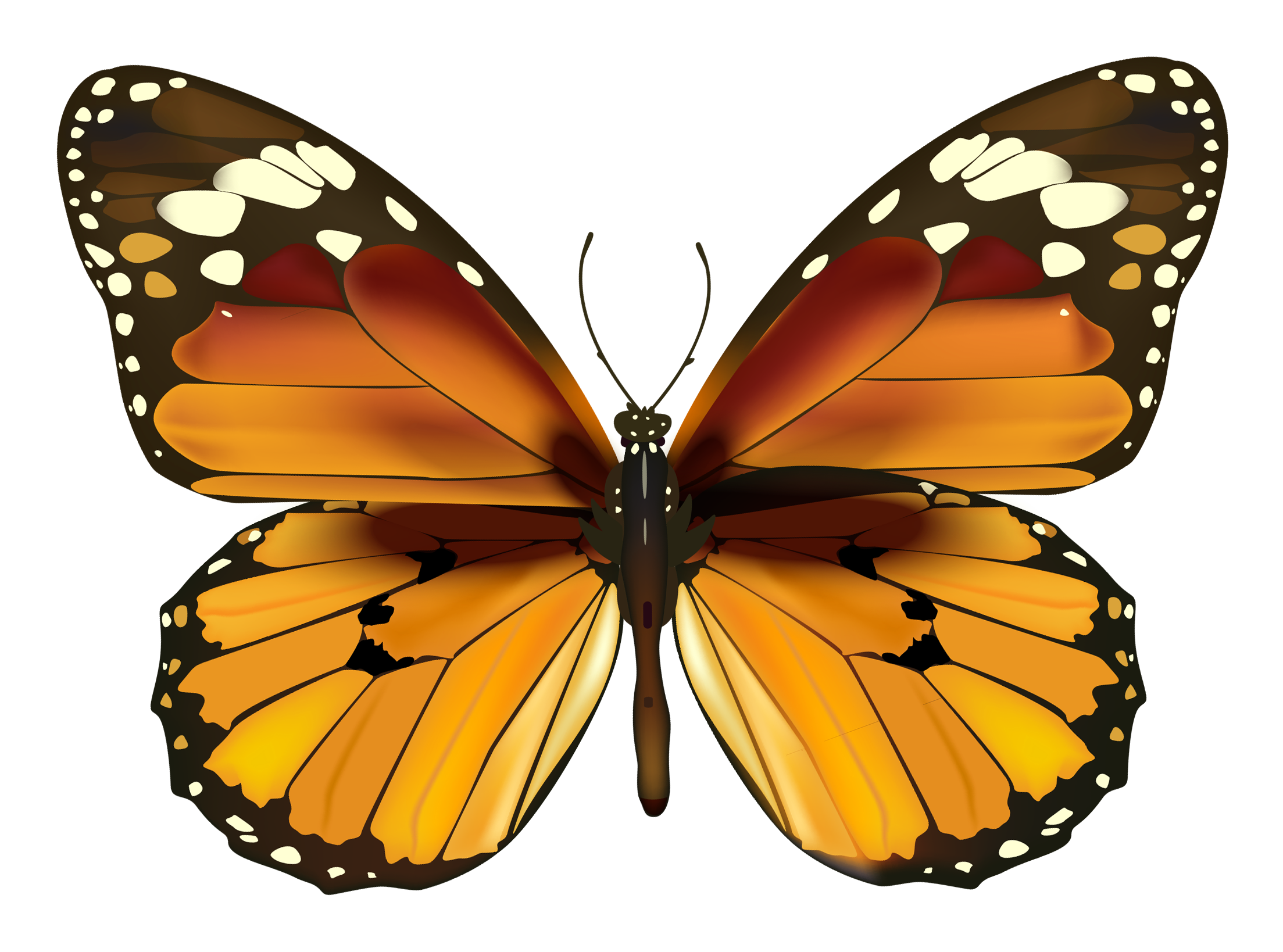 Yellow Butterfly PNG Clipart | Gallery Yopriceville - High ...