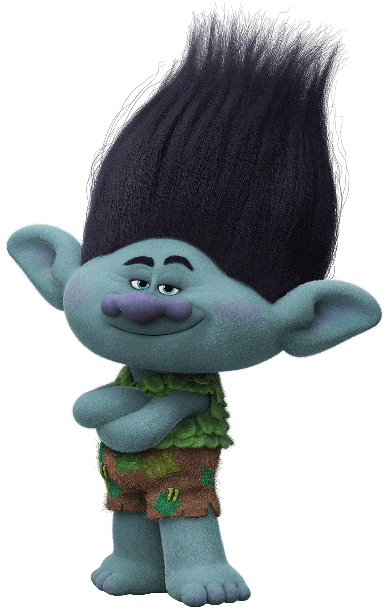 Branch Trolls World Tour Transparent PNG Image | Gallery Yopriceville