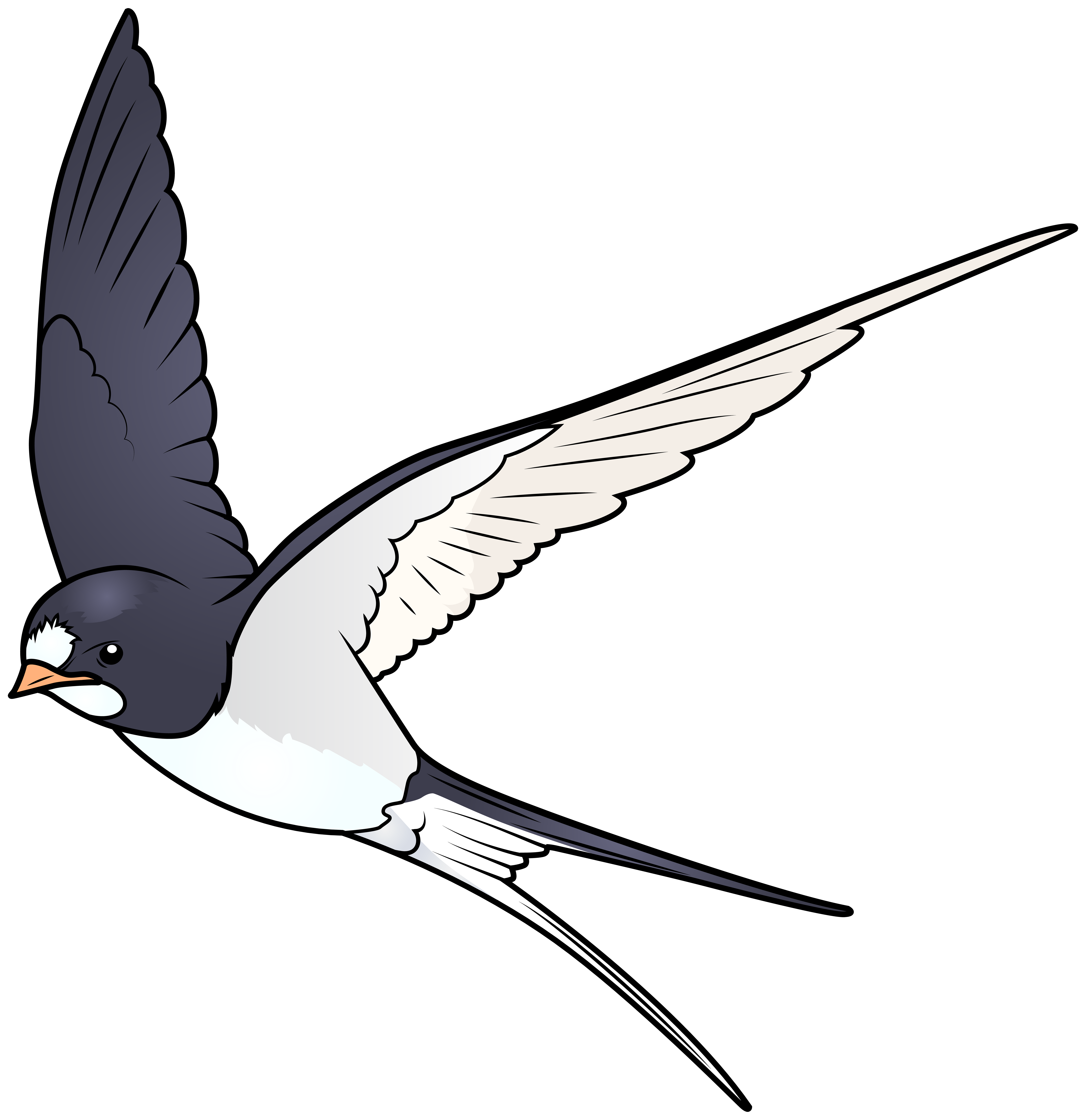 Cartoon Bird PNG Transparent Image | Gallery Yopriceville - High