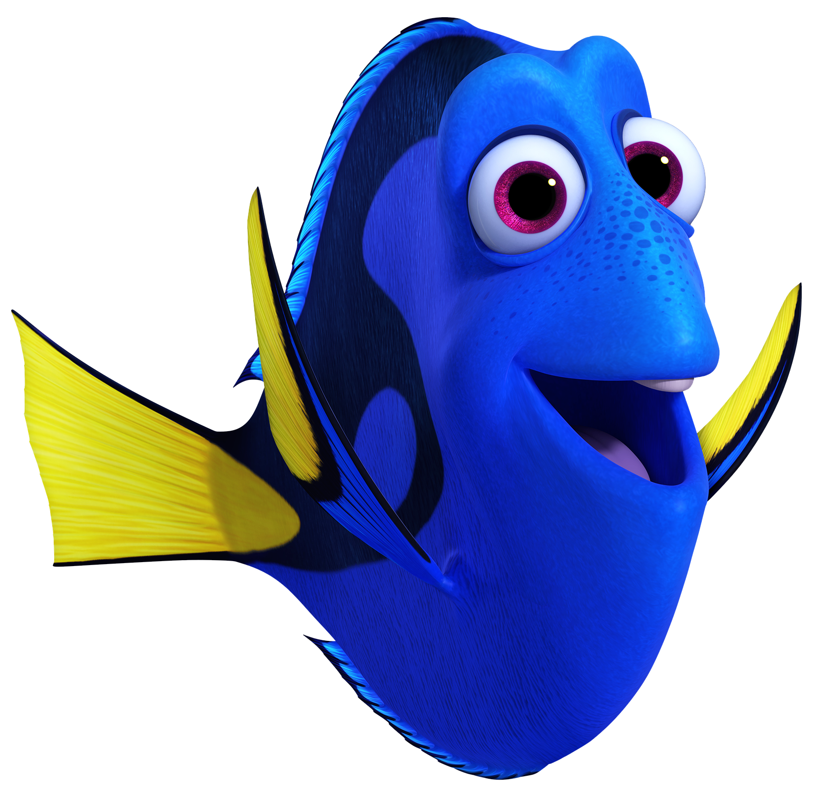 finding dory dory transparent png clip art image gallery when does disneyland set up for christmas