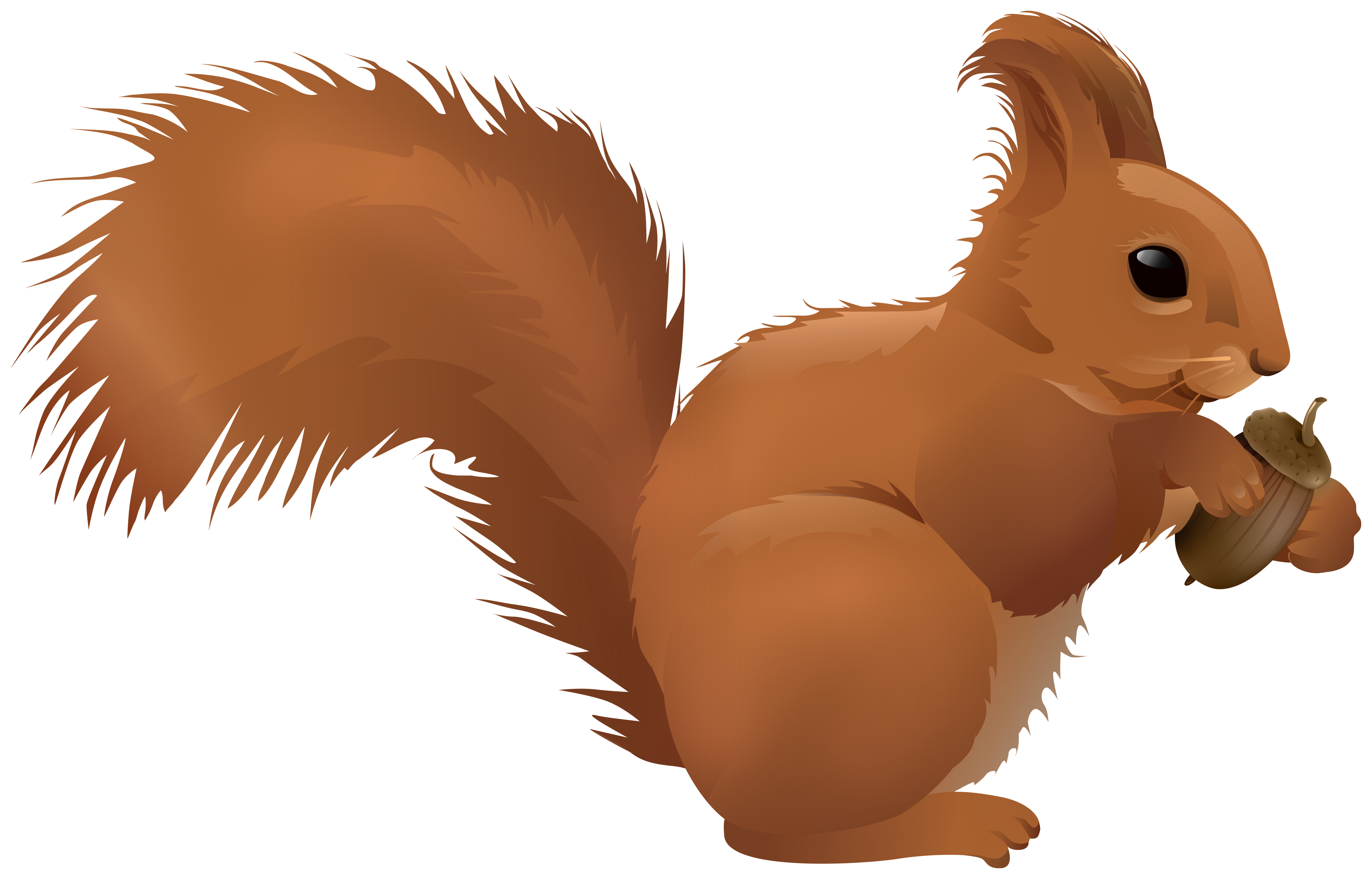 Squirrel Cartoon PNG Clipart | Gallery Yopriceville - High ...