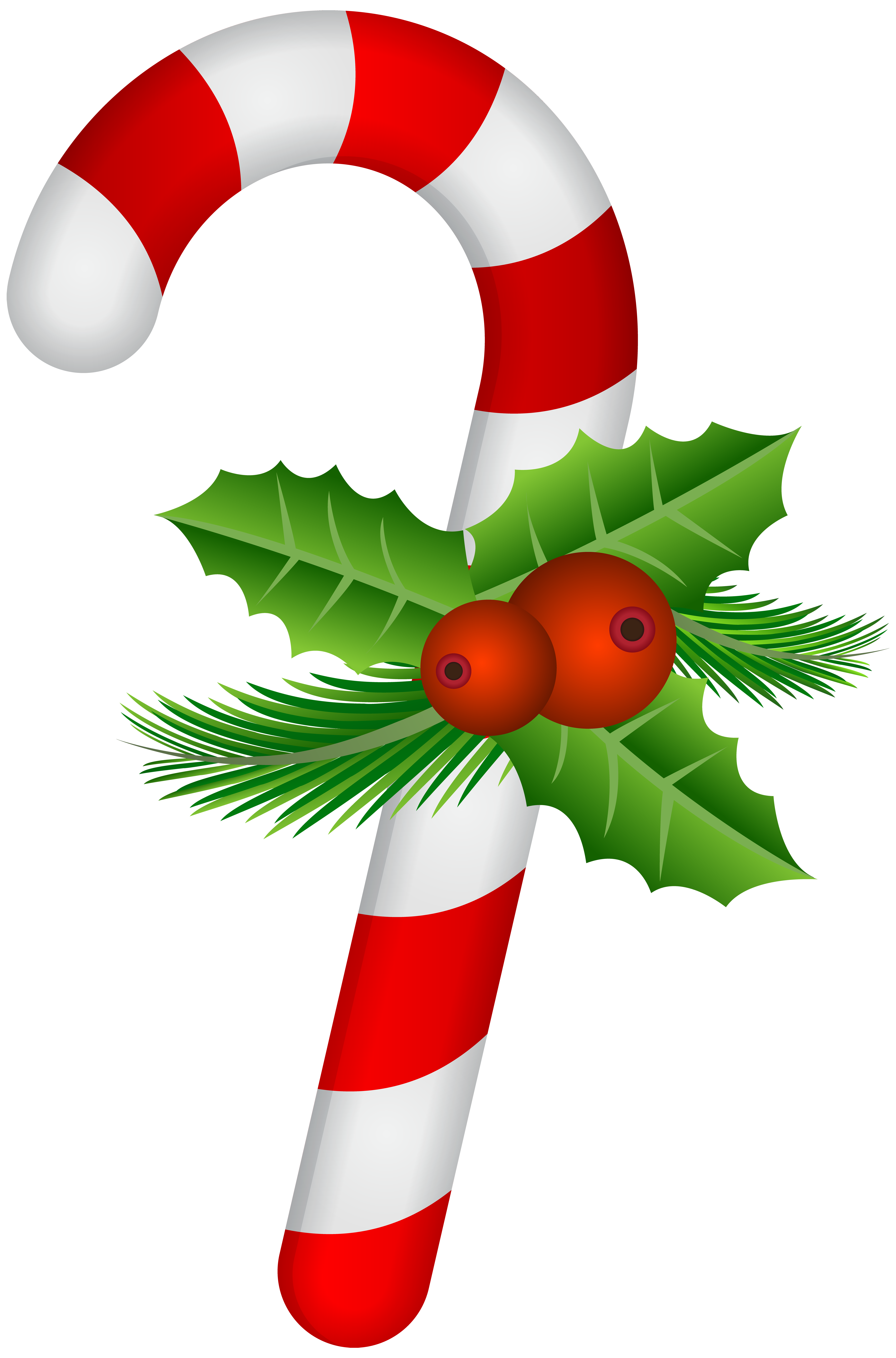 candy cane with holly transparent png clip art gallery gold and red christmas tree