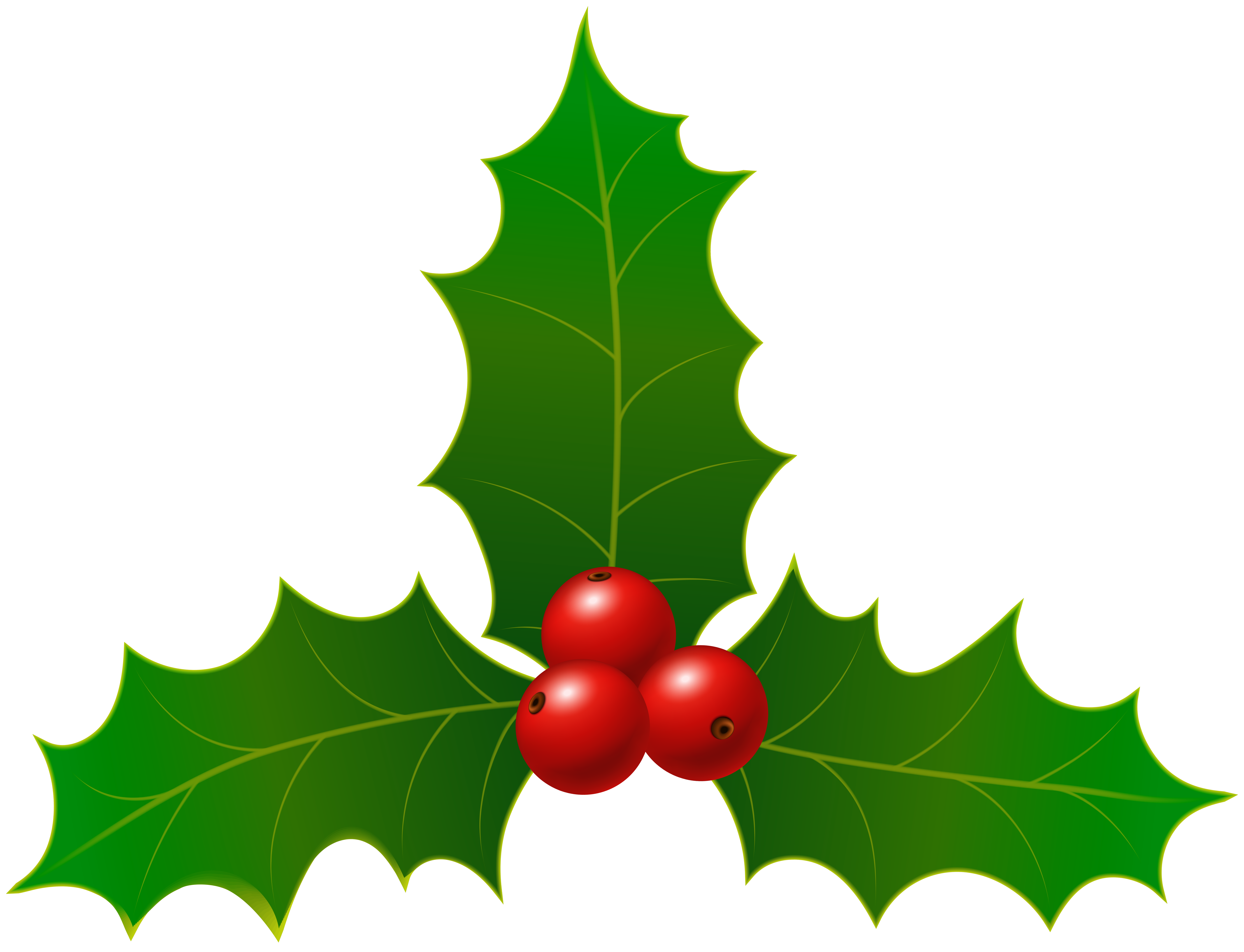 Christmas Holly Clipart This Wallpapers - vrogue.co