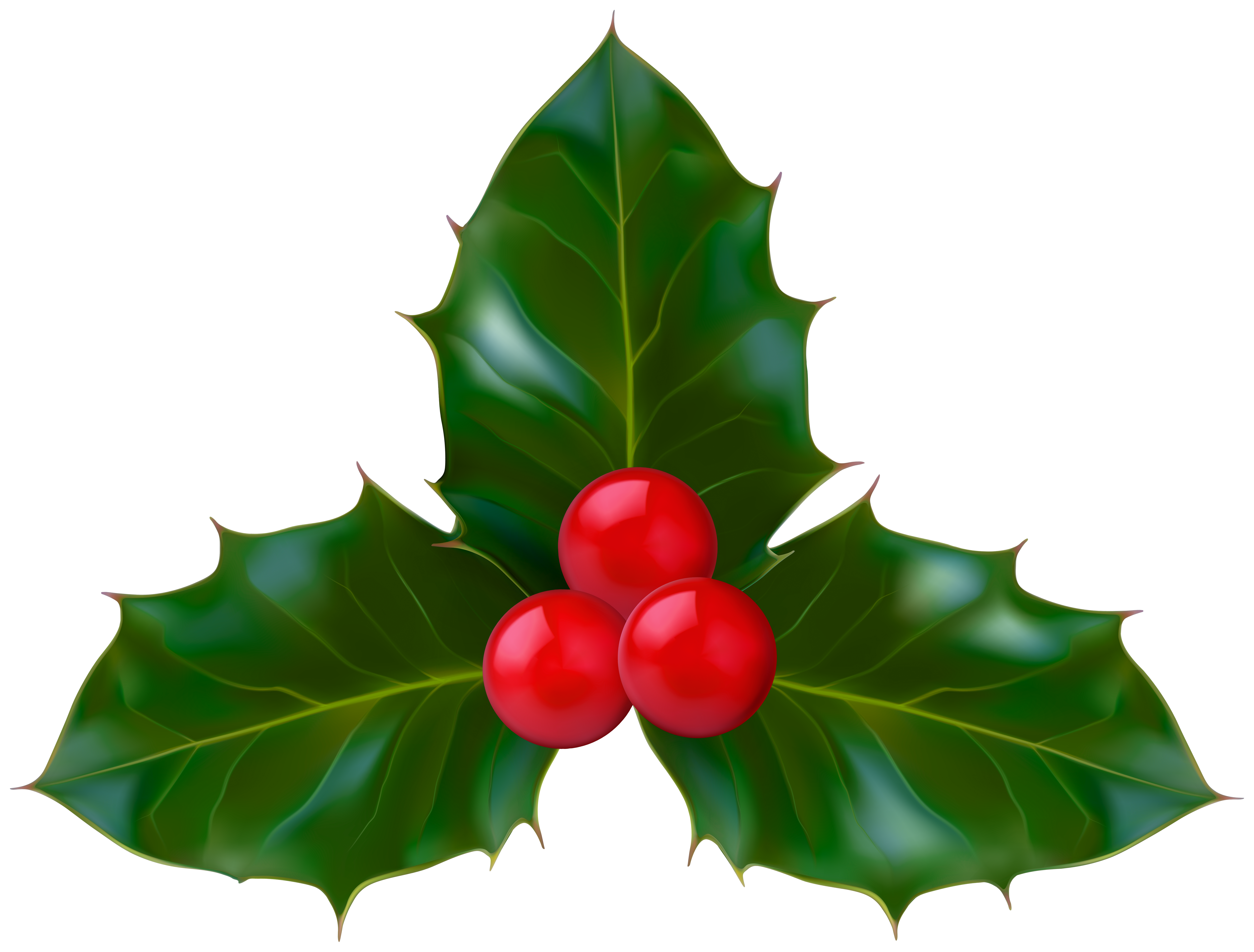 Christmas Holly Clip Art Png Image Gallery Yopriceville High