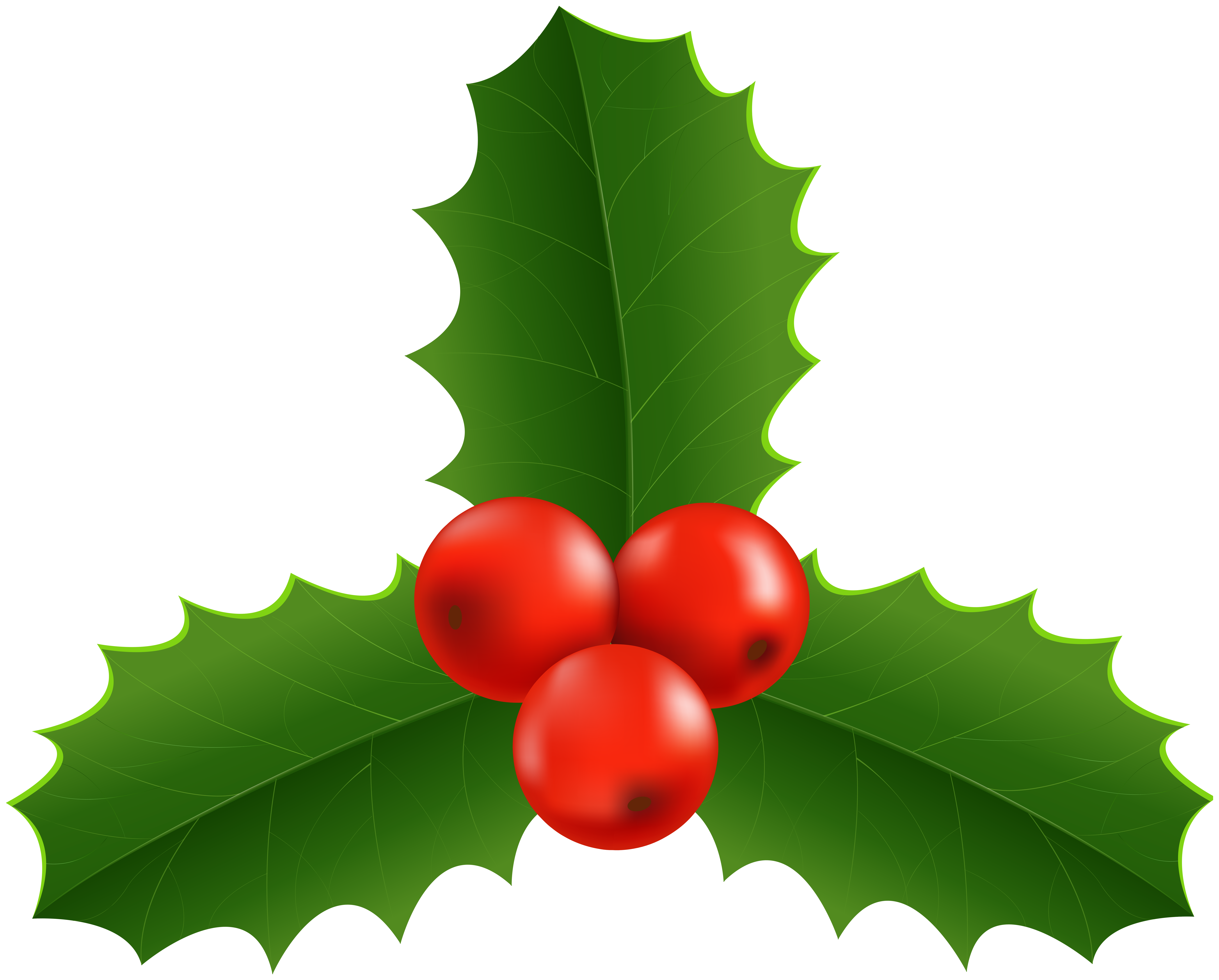 Christmas Holly Clip Art PNG Image | Gallery Yopriceville ...