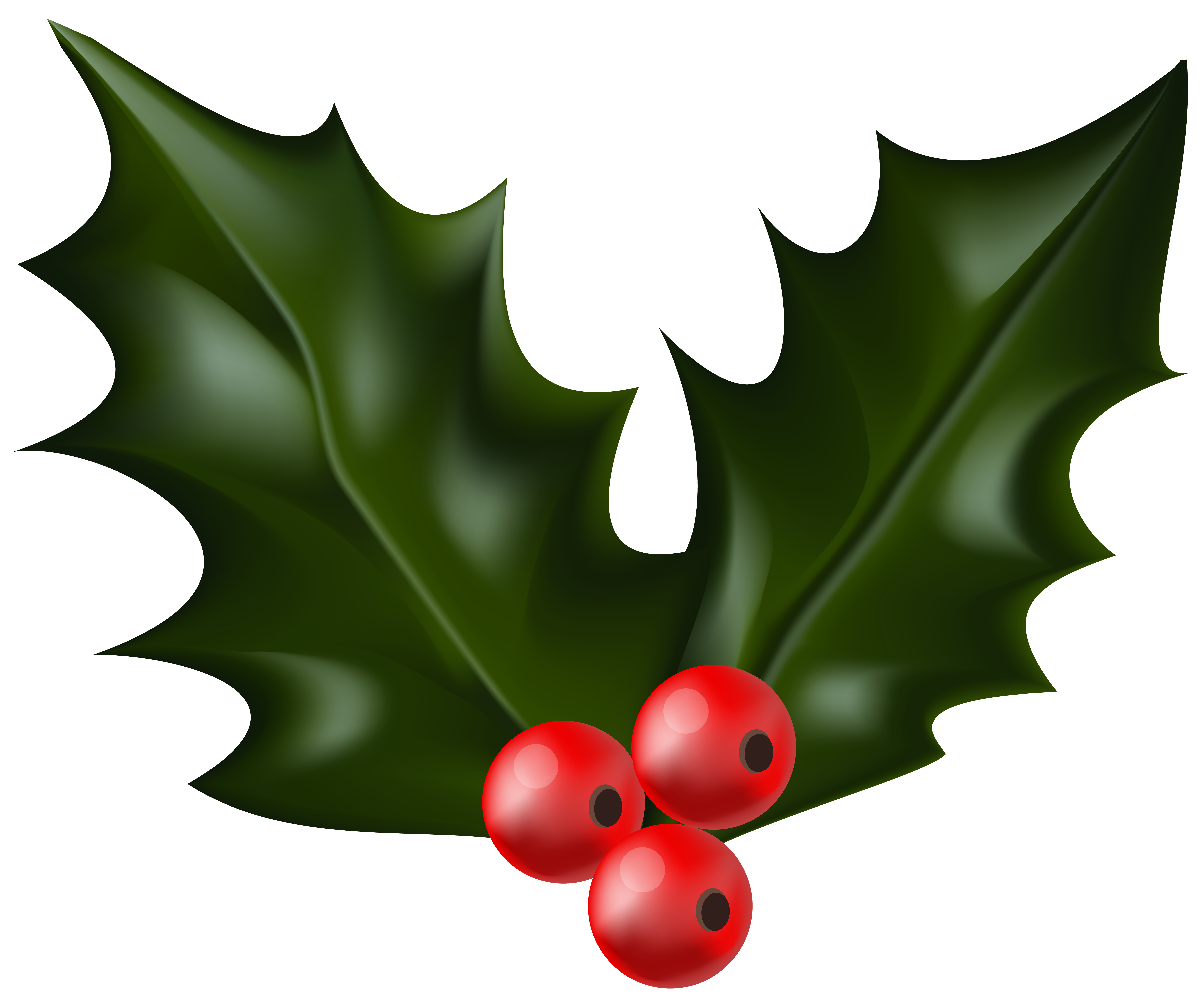 Christmas Mistletoe Png