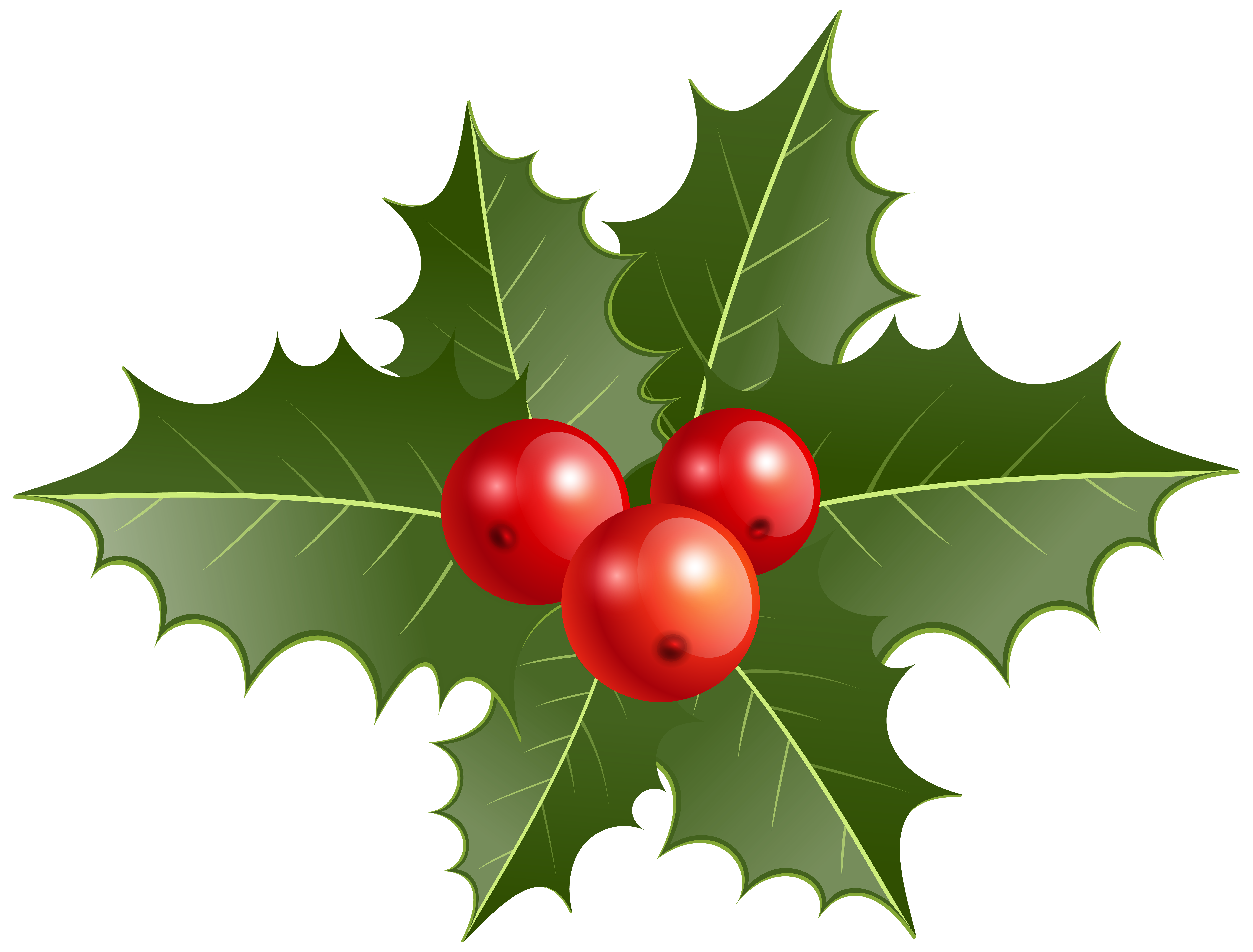 Free Xmas Clipart Of Mistletoe Christmas Holly PNG Clip Art | Gallery Yopriceville - High ...