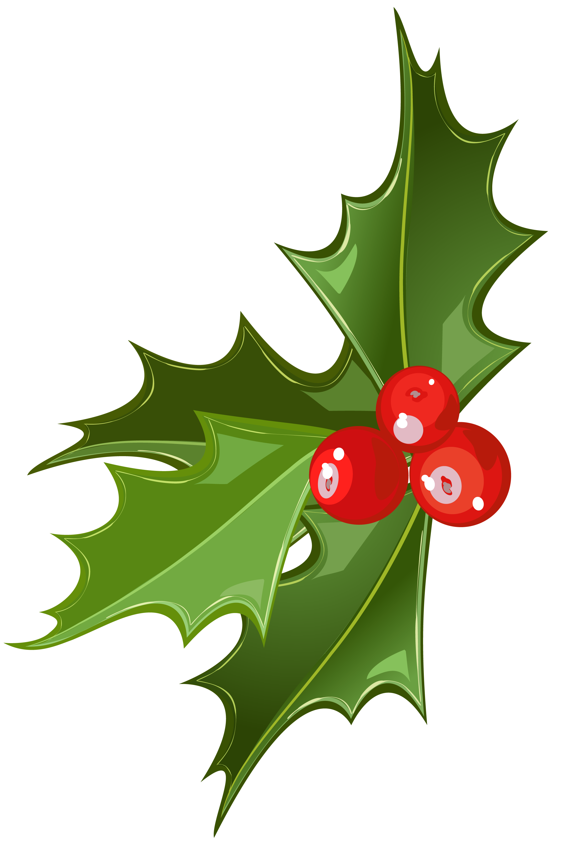 Christmas Holly Transparent PNG Clip Art​  Gallery Yopriceville -  High-Quality Free Images and Transparent PNG Clipart