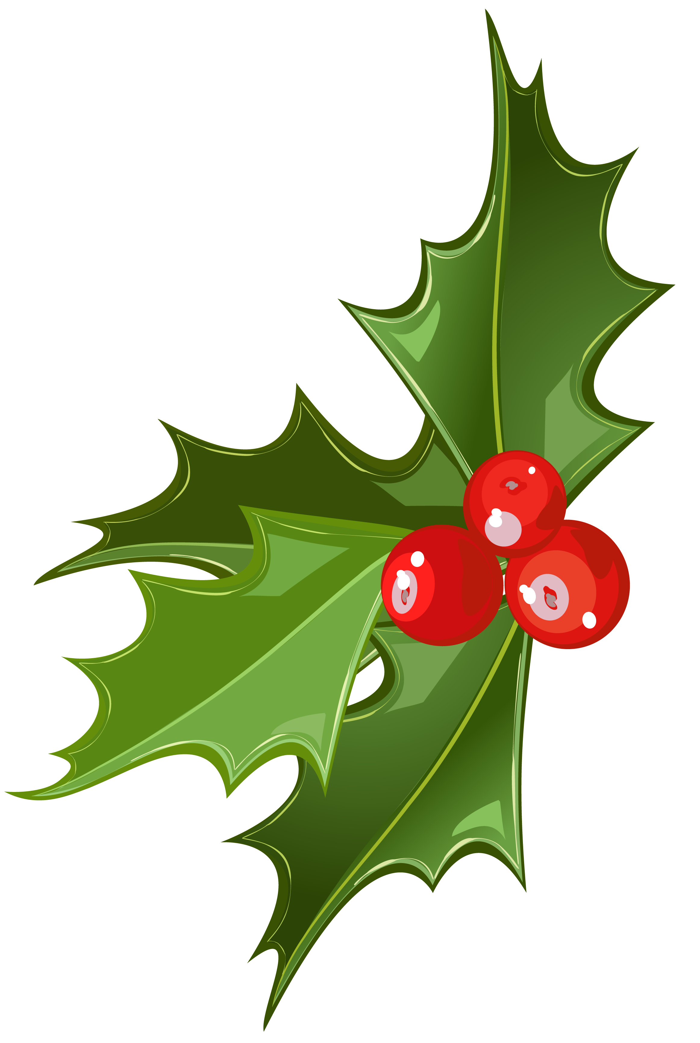 Christmas Holly PNG Image​  Gallery Yopriceville - High-Quality Free  Images and Transparent PNG Clipart